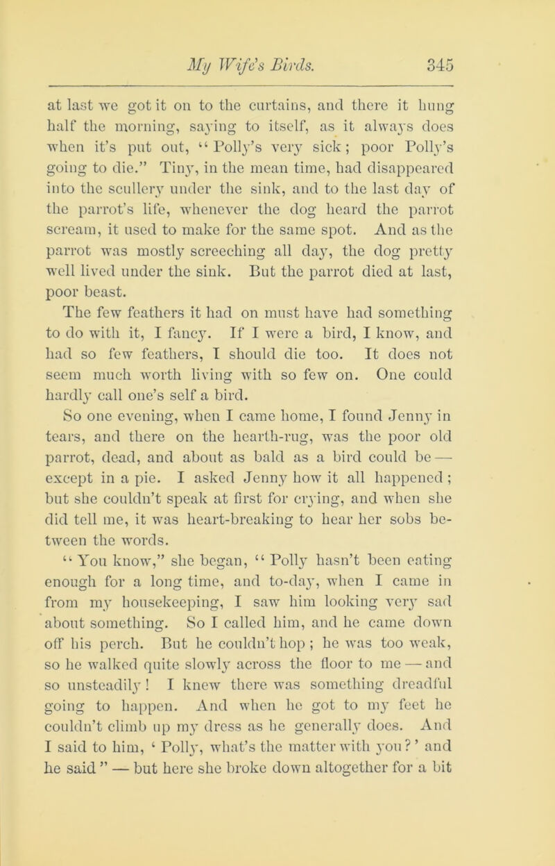 at last we got it on to the curtains, and there it hung half the morning, saying to itself, as it always does when it’s put out, “ Polly’s veiy sick ; poor Polh-’s going to die.” Tin}', in the mean time, had disappeared into the scullery under the sink, and to the last day of the parrot’s life, whenever the dog heard the pari’ot scream, it used to make for the same spot. And as the parrot was mostly screeching all day, the dog pretty well lived under the sink. But the parrot died at last, poor beast. The few feathers it had on must have had something to do with it, I fancy. If I were a bird, I know, and had so few feathers, I should die too. It does not seem much worth living with so few on. One could hardly call one’s self a bird. So one evening, when I came home, I found Jenny in tears, and there on the hearth-rug, was the poor old parrot, dead, and about as bald as a bird could be — except in a pie. I asked Jenny how it all happened ; but she couldn’t speak at first for crying, and when she did tell me, it was heart-breaking to hear her sobs be- tween the words. “ You know,” she began, “ Polly hasn’t been eating enough for a long time, and to-day, when I came in from my housekeeping, I saw him looking very sad about something. So I called him, and he came down off his perch. But he couldn’t hop; he was too weak, so he walked quite slowly across the fioor to me — and so unsteadily ! I knew there was something dreadl’ul going to happen. And when he got to my feet he couldn’t climb up ray dress as he generally does. And I said to him, ‘ Polly, what’s the matter with yon ? ’ and he said ” — but here she broke down altogether for a bit