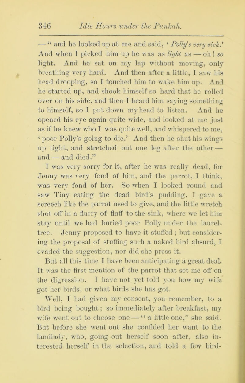 — “ and he looked up at me and said, ‘ Polhjs very sick.' And when 1 picked him up he was as light as — oh ! so light. And he sat on 1113' lap without moving, 011I3' breathing veiy hard. And then after a little, 1 saw his head drooping, so I touched him to wake him up. And he started up, and shook himself so hard that he rolled over on his side, and then I heard him saying something to himself, so I put down m3diead to listen. And he opened his ej’e again quite wide, and looked at me just as if he knew who I was quite well, and whispered to me, ‘ poor Poll3'’s going to die.’ And then he shut his wings up tiglit, and stretched out one leg after the other — and — and died.” I was veiy soriy for it, after he was rcalh* dead, for Jenn}' was veiy fond of him, and the parrot, T think, was very fond of her. So when I looked round and saw Till}' eating the dead bird’s pudding, I gave a screech like the parrot used to give, and the little wretch shot off in a flurry of fluff to the sink, where we let him sta}’ until we had buried poor Polly under the laureb tree. Jenn}' proi)osed to have it stuffed ; but consider- ing the proposal of stufling such a naked bird absurd, I evaded the suggestion, nor did she press it. But all this time I have been anticipating a great deal. It was the first mention of the i)arrot that set me otf on the digression. I have not }’et told you how m3' wife got her birds, or what birds she has got. 'Well, I had given my conseut, you remember, to a bird being bought; so immediately after breakfast, my Avife went out to choose one — “ a little one,” she said. But before she went out she confided her Avant to the landlady, who, going out herself soon after, also in- terested herself in the selection, and told a few bird-