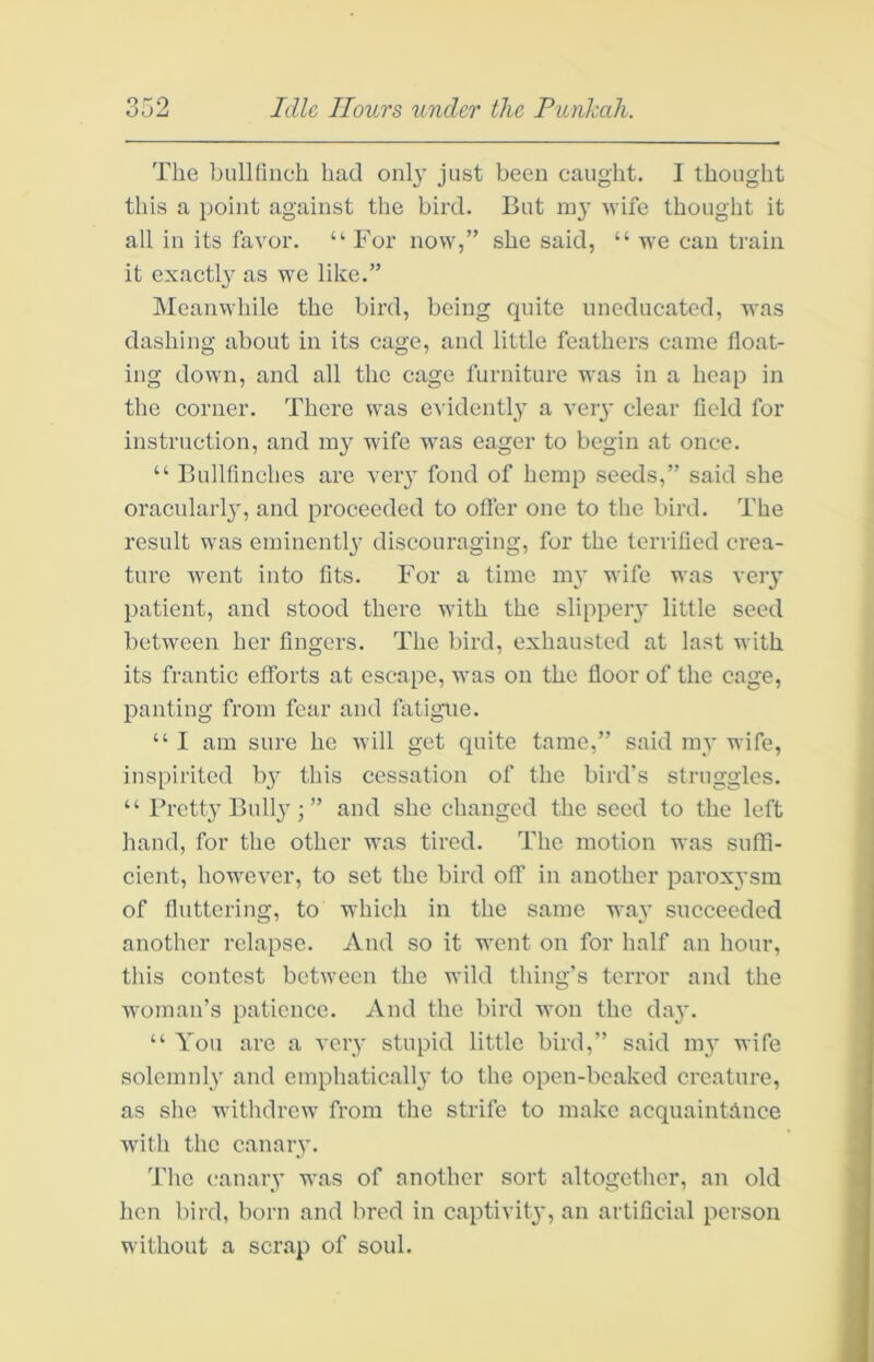 The biilllliich had onl}* just been caught. I thought this a point against the bird. But niy wife thought it all in its favor. “ For now,” she said, “ we can train it exactly as we like.” IMeanwhile the bird, being quite uneducated, was dashing about in its cage, and little feathers came float- ing down, and all the cage furniture was in a heap in the eorner. There was evidently a very clear field for instruction, and my wife was eager to begin at once. “ Bullfinches are veiy fond of hemp seeds,” said she oraeularl}, and proceeded to offer one to the bird. The result was eminentl}' discouraging, for the terrified crea- ture went into fits. For a time my wife was veiy patient, and stood there with the slippery little seed between her fingers. The bird, exhausted at last with its frantic efforts at escape, was on the floor of the cage, panting from fear and fatigue. “ I am sure he will get quite tame,” said my wife, inspirited bj this cessation of the bird's struggles. “ Fretty Bull}’; ” and she changed the seed to the left hand, for the other was tired. The motion was suffi- cient, however, to set the bird off in another paroxysm of fluttering, to which in the same wa}- succeeded another relapse. And so it went on for half an hour, this eontest between the wild thing’s terror and the woman’s patience. And the bird won the day. “ You are a very stupid little bird,” said m3' wife solemnly and emphaticall}' to the open-beaked creature, as she withdrew from the strife to make acquaintance with the canary. The canary was of another sort altogether, an old hen bird, born and bred in captivit}', an artificial person without a serap of soul.