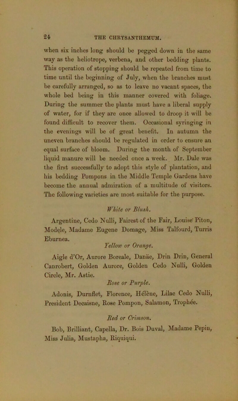 when six inches long should be pegged down in the same way as the heliotrope, verbena, and other bedding plants. This operation of stopping should be repeated from time to time until the beginning of July, when the branches must be carefully arranged, so as to leave no vacant spaces, the whole bed being in this manner covered with foliage. During the summer the plants must have a liberal supply of water, for if they are once allowed to droop it will be found difficult to recover them. Occasional syringing in the evenings will be of great benefit. In autumn the uneven branches should be regulated in order to ensure an equal surface of bloom. During the month of September liquid manure will be needed once a week. Mr. Dale was the first successfully to adopt this style of plantation, and his bedding Pompons in the Middle Temple Gardens have become the annual admiration of a multitude of visitors. The following varieties are most suitable for the purpose. White or Blush. Argentine, Cedo Nulli, Fairest of the Fair, Louise' Piton, Modele, Madame Eugene Domage, Miss Talfourd, Turris Eburnea. Yellow or Orange. Aigle d’Or, Aurore Boreale, Danae, Drin Drin, General Canrobert, Golden Aurore, Golden Cedo Nulli, Golden Circle, Mr. Astie. Hose or Purple. Adonis, Durnflet, Florence, Helene, Lilac Cedo Nulli, President Dccaisne, Rose Pompon, Salamon, Trophee. Bed or Crimson. Bob, Brilliant, Capella, Dr. Bois Duval, Madame Pepin, Miss Julia, Mustapha, Itiquiqui.