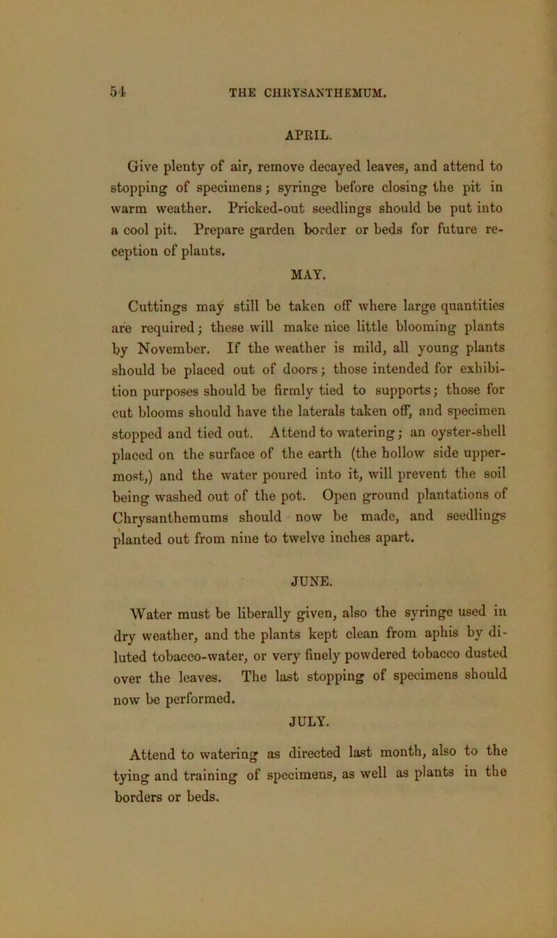 APRIL. Give plenty of air, remove decayed leaves, and attend to stopping of specimens; syringe before closing the pit in warm weather. Pricked-out seedlings should be put into a cool pit. Prepare garden border or beds for future re- ception of plants. MAY. Cuttings may still be taken off where large quantities are required; these will make nice little blooming plants by November. If the weather is mild, all young plants should be placed out of doors; those intended for exhibi- tion purposes should be firmly tied to supports; those for cut blooms should have the laterals taken off, and specimen stopped and tied out. Attend to watering; an oyster-shell placed on the surface of the earth (the hollow side upper- most,) and the water poured into it, will prevent the soil being washed out of the pot. Open ground plantations of Chrysanthemums should now be made, and seedlings planted out from nine to twelve inches apart. JUNE. Water must be liberally given, also the syringe used in dry weather, and the plants kept clean from aphis by di- luted tobacco-water, or very finely powdered tobacco dusted over the leaves. The last stopping of specimens should now be performed. JULY. Attend to watering as directed last month, also to the tying and training of specimens, as well as plants in the borders or beds.