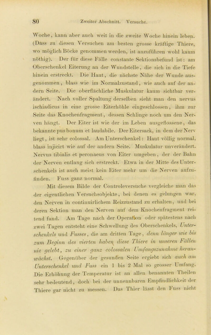 Woche, kann aber auch weit in die zweite Woche hinein leben. (Dass zu diesen Versuchen am besten grosse kräftige Thiere, wo möglich Böcke genommen werden, ist anzuführen wohl kaum nöthig). Der für diese Fälle constante Sektionsbefund ist: am Oberschenkel Eiterung an der Wundstelle, die sicli in die Tiefe hinein erstreckt. Die Haut, die nächste Nähe der Wunde aus- genommen, blass wie im Normalzustand, wie auch auf der an- dern Seite. Die oberflächliche Muskulatur kaum sichtbar ver- ändert. Nach voller Spaltung derselben sieht man den nervus ischiadicus in eine grosse Eiterhöhle eingeschlossen, ihm zur Seite das Knochenfragment, dessen Schlinge noch um den Ner- ven hängt. Der Eiter ist wie der im Leben ausgeflossene, das bekannte pus bonum et laudabile. Der Eitersack, in dem der Nerv liegt, ist sehr colossal. Am Unterschenkel: Haut völlig normal, blass injicirt wie auf der andern Seite. Muskulatur unverändert. Nervus tibialis et peronaeus von Eiter umgeben, der der Bahn der Nerven entlang sich erstreckt. Etwa in der Mitte des Unter- schenkels ist auch meist kein Eiter mehr um die Nerven aufzu- finden. Fuss ganz normal. Mit diesem Bilde der Controleversuche vergleiche man das der eigentlichen Versuchsobjekte, bei denen es gelungen war, den Nerven in continuirlichem Reizzustand zu erhalten, und bei deren Sektion man den Nerven auf dem Knochenfragment rei- tend fand. Am Tage nach der Operation oder spätestens nach zwei Tagen entsteht eine Schwellung des Oberschenkels, Unter- schenkels und Fasses, die am dritten Tage, denn länger wie bis zum Beginn des vierten habei\ diese Thiere in unseren Fällen ide gelebt, zu einer ganz colossalen Umfangszunahme heran- wächst. Gegenüber der gesunden Seite ergiebt sich auch am Unterschenkel und Fuss ein 1 Ins 2 Mal so grosser Umfang. Die Erhöhung der Temperatur ist an allen benannten Theilen sehr bedeutend, doch bei der unnennbaren Empfindlichkeit der Thiere gar nicht zu messen. Das Thier lässt den Fuss nicht
