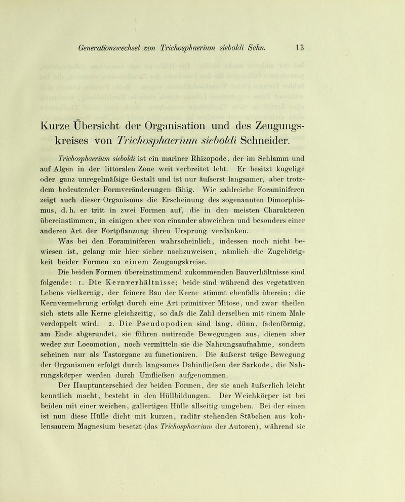 Kurze Übersicht der Organisation und des Zeugungs- kreises von Trlchosphaermm sieholdi Schneider. Trichosphaerium sieholdi ist ein mariner Rhizopode, der im Schlamm und auf Algen in der littoralen Zone weit verbreitet leht. Er besitzt kugelige oder ganz unregelmäfsige Gestalt und ist nur äufserst langsamer, aber trotz- dem bedeutender Formveränderungen föhig. Wie zahlreiche Foraminiferen zeigt auch dieser Organismus die Erscheinung des sogenannten Dimorphis- mus, d. h. er tritt in zwei Formen auf, die in den meisten Charakteren übereinstimmen, in einigen aber von einander abweichen und besonders einer anderen Art der Fortpflanzung ihren Ursprung verdanken. Was bei den Foraminiferen wahrscheinlich, indessen noch nicht be- wiesen ist, gelang mir hier sicher nachzuweisen, nämlich die Zugehörig- keit beider Formen zu einem Zeugungskreise. Die beiden Formen übereinstimmend zukommenden Bauverhältnisse sind folgende: i. Die Kern Verhältnisse; beide sind während des vegetativen Lebens vielkernig, der feinere Bau der Kerne stimmt ebenfalls überein; die Kernvei’mehrung erfolgt durch eine Art primitiver Mitose, und zwar theilen sich stets alle Kerne gleichzeitig, so dafs die Zahl derselben mit einem Male verdoppelt wii’d. 2. Die Pseudopodien sind lang, dünn, fadenförmig, am Ende abgerundet, sie führen nutirende Bewegungen aus, dienen aber weder zur Locomotion, noch vermitteln sie die Nahrungsaufnahme, sondern scheinen nur als Tastorgane zu functioniren. Die äufserst träge Bewegung der Organismen erfolgt durch langsames Dahinfliefsen der Sarkode, die Nah- rungskörper werden durch Umfliefsen aufgenommen. Der Hauptunterschied der beiden Formen, der sie auch äufserlich leicht kenntlich macht,, besteht in den Hüllbildungen. Der Weichkörper ist bei beiden mit einerweichen, gallertigen Hülle allseitig umgeben. Bei der einen ist nun diese Hülle dicht mit kurzen, radiär stehenden Stäbchen aus koh- lensaurem Magnesium besetzt (das Trichosphaerium der Autoren), während sie
