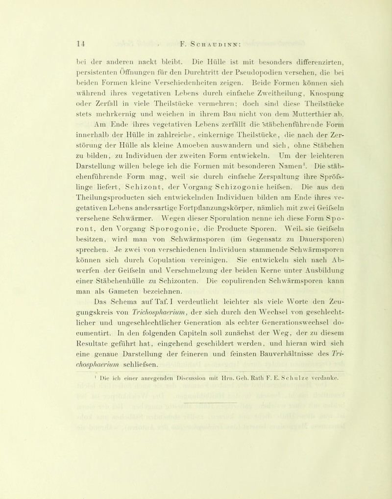 l)(‘i der aiuleron nackt kleibt. Die Hülle ist mit besonders dift’enMizirten, persistenten ()lifnun,ü;en lür den Durchtritt der Pseudojiodien versehen, die bei beiden Formen kleiiu“ Verschiedenlieiten zeigen. Beide Formen können sich während ihres vegetativen T.,cb(>ns durch einfache Zweitheilung, Knospung odei- Zerfall in viele Theilstücke vermehren; doch sind diese Theilstück(‘ stets mehrkernig und weichen in ihrem Bau nicht von dem 31utterthier ab. Am Ende ihres vegetativen Lebens zerfällt die'stäbchenfülmmde Form innerhalb der Hülle in zahlreiche, einkernige Theilstücke, die nach der Zer- störung der Hülle als kleine Amoeben auswandern und sich, ohne Stäbchen zu bilden, zu Individuen der zweiten Form entwickeln. Um der leichteren Darstellung willen belege ich die Formen mit besonderen Namen'. Die stäb- chenführende Form mag, weil sie durch einfache Zerspaltung ihre Spröfs- linge liefert, Schizont, der Vorgang Schizogonie heifsen. Die aus den Theilungsproducten sich entwickelnden Individuen bilden am Ende ihres ve- getativen Lebens andersartige FVi-tjitlanzungskörper, nämlich mit zwei Geifseln versehene Schwärmer. Wegen dieser Sporulation nenne ich diese Form S]io- ront, den Vorgang Sporogonie, die Producte Sporen. W'eil. sie Geifseln besitzen, wird man von Schwärmsporen (im Gegensatz zu Dauersporen) sprechen. Je zwei von verschiedenen Individuen stammende Schwärm.sporen können sich durch Co])ulation vereinigen. Sie entwickeln sich nach Ab- werfen der Geifseln und Verschmelzung der beiden Kerne unter Ausbildung einer Stäbchenhülle zu Schizonten. Die copulirenden Schwärmsporen kann man als Gameten bezeichnen. Das Schema aufTaf. I verdeutliclit leichter als viele Worte den Zcni- gungskreis von Trichosphaerium, der sich durch den Wechsel von ge.sclilecht- licher und ungeschlechtlicher Generation als echter Generationswechsel do- cumentirt. In den folgenden Capiteln soll zunächst der Weg, der zu diesem Resultate geführt hat, eingehend geschildert w'erden, und hieran wird sich eine genaue Darstellung der feineren und feinsten Bauverhältnisse des Tri- chosphaermm schliefsen. • Die icli einer ;niregenden Discussioa mit Ilrii. tieli. Rath F. f. .SelmIze verdanke.