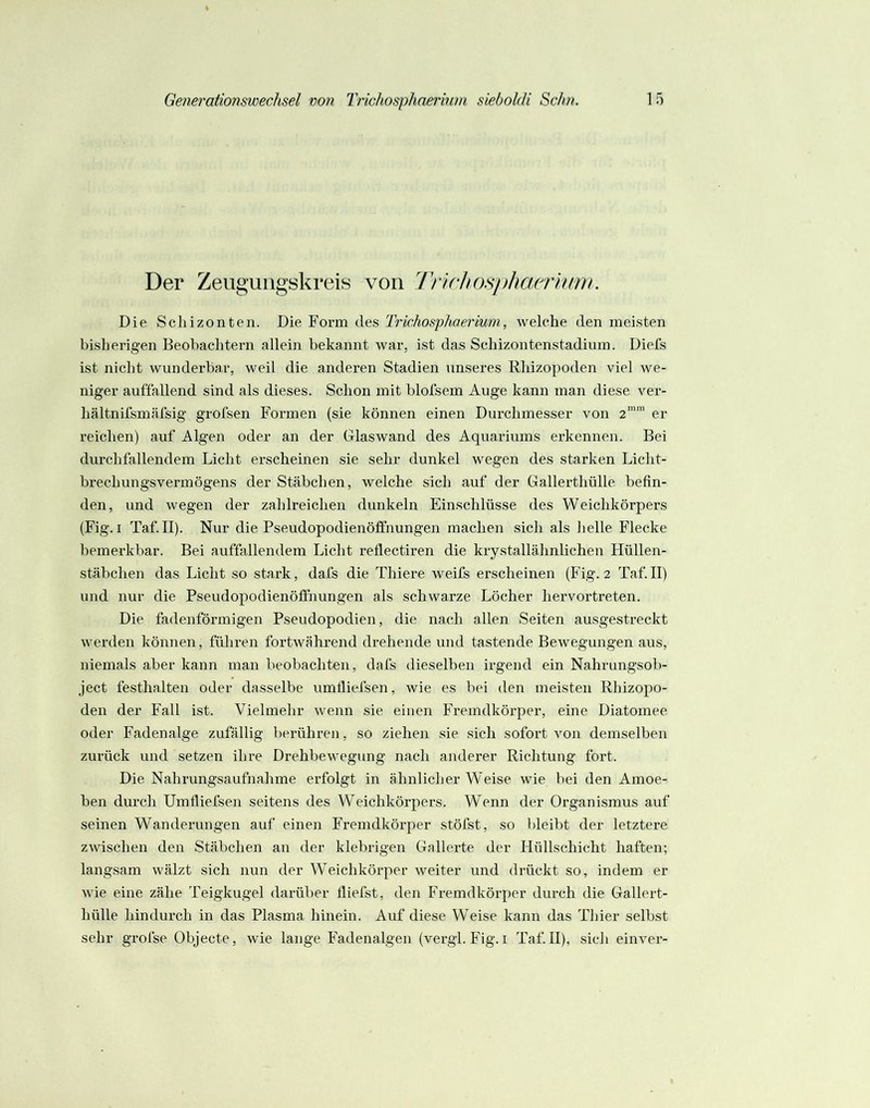 Der Zeug’ungskreis von Trirhosphaerium. Die Schizonteil. Die Form des Trichosphaerium, welche den meisten bishei’igen Beohachtern allein bekannt war, ist das Schizontenstadium. Diebs ist nicht wunderbar, weil die anderen Stadien unseres Rhizopoden viel we- niger auffallend sind als dieses. Schon mit blofsem Auge kann man diese ver- hältnifsmäfsig grofsen Formen (sie können einen Durchmesser von 2” er reichen) auf Algen oder an der Glaswand des Aquariums erkennen. Bei durchfallendem Licht erscheinen sie sehr dunkel wegen des starken Licht- brechungsvermögens der Stäbchen, welche sich auf der Gallerthülle befin- den, und wegen der zahlreichen dunkeln Einschlüsse des Weichkörpers (Fig. I Taf.II). Nur die Pseudopodienöffhungen machen sich als helle Flecke bemerkbar. Bei auffallendem Licht reflectii*en die krystallähnlichen Hüllen- stäbchen das Licht so stark, dafs die Thiere weifs erscheinen (Fig. 2 Taf.II) und nur die Pseudopodienöffhungen als schwarze Löcher hervortreten. Die fadenförmigen Pseudopodien, die nach allen Seiten ausgestreckt werden können, führen fortwährend drehende und tastende Bewegungen aus, niemals aber kann man beobachten, dafs dieselben irgend ein Nahrungsob- ject festhalten oder dasselbe umfliefsen, wie es bei den meisten Rhizopo- den der Fall ist. Vielmehr wenn sie einen Fremdkörper, eine Diatomee oder Fadenalge zufällig berühren, so ziehen sie sich sofort von demselben zurück und setzen ihre Drehbewegung nach anderer Richtung fort. Die Nahrungsaufnahme erfolgt in ähnlicher Weise wie hei den Amoe- ben durch Umfliefsen seitens des Weichkörpers. Wenn der Organismus auf seinen Wanderungen auf einen Fremdkörper stöfst, so bleibt der letztere zwischen den Stäbchen an der klebrigen Gallerte der Hüllschicht haften; langsam wälzt sich nun der Weichkörper weiter und drückt so, indem er wie eine zähe Teigkugel darüber fliefst, den Fremdkörper durch die Gallert- hülle hindurch in das Plasma hinein. Auf diese Weise kann das Thier selbst sehr grolse Objecte, wie lange Fadenalgen (vergl. Fig. i Taf.II), sich einver-