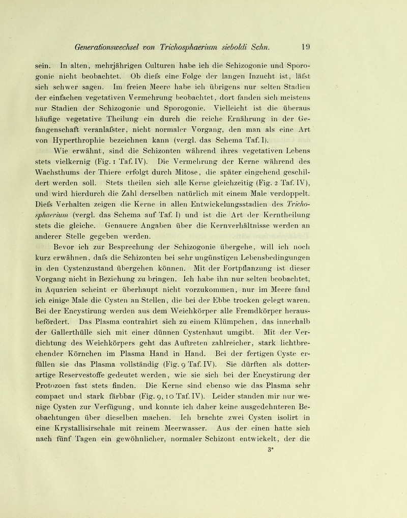 sein. In alten, mehrjährigen Culturen habe ich die Schizogonie und Sporo- gonie nicht beobachtet, üb diels eine Folge der langen Inzucht ist, lälst sich schwer sagen. Iin freien Meere habe icli übrigens nur selten Stadien der einfachen vegetativen Vermehrung beobachtet, dort fanden sich meistens nur Stadien der Schizogonie und Sporogonie. Vielleicht i.st die übei-aus häufige vegetative Theilung ein durch die reiche Ernährung in der Ge- fangenschaft veranlafster, nicht normaler Vorgang, den man als eine Art von Hyperthrophie bezeichnen kann (vergl. das Schema Taf. I). Wie erwähnt, sind die Schizonten während ihres vegetativen Lebens stets vielkernig (F'ig. i Taf IV). Die Vermehrung der Kerne während des Wachsthums der Thiere erfolgt durch Mitose, die später eingehend geschil- dert werden soll. Stets theilen sich alle Kerne gleichzeitig (Fig. 2 Taf. IV), und wird hierdurch die Zahl derselben natürlich mit einem Male verdoppelt. Diefs Verhalten zeigen die Kerne in allen Entwickelungsstadien des Tricho- sphaeriurn (vergl. das Schema auf Taf. I) und ist die Art der Kerntheilung stets die gleiche. Genauere Angaben über die Kernverhältnisse werden an anderer Stelle gegeben werden. Bevor ich zur Besprechung der Schizogonie übergehe, will ich noch kurz erwähnen, dafs die Schizonten bei sehr ungünstigen Lebensbedingungen in den Cystenzustand übergehen können. Mit der Fortpflanzung ist dieser Vorgang nicht in Beziehung zu bringen. Ich habe ihn nur selten beobachtet, in Aquarien scheint er überhaupt nicht vorzukommen, nur im Meere fand ich einige Male die Cysten an Stellen, die bei der Ebbe trocken gelegt waren. Bei der Encystirung werden aus dem Weichkörper alle Fremdkörper heraus- befördert. Das Plasma contrahirt sich zu einem Klümpchen, das innerhalb der Gallerthülle sich mit einer dünnen Cystenhaut umgibt. Mit der Ver- dichtung des Weichkörpers geht das Auftreten zahlreicher, stark lichtbre- chender Körnchen im Plasma Hand in Hand. Bei der fertigen Cyste er- füllen sie das Plasma vollständig (Fig. 9 Taf. IV). Sie dürften als dotter- artige Reservestoffe gedeutet werden, wie sie sich bei der Encystirung der Protozoen fast stets finden. Die Kerne sind ebenso wie das Plasma sehr compact und stark färbbar (Fig. 9, 10 Taf. IV). Leider standen mir nur we- nige Cysten zur Verfügung, und konnte ich daher keine ausgedehnteren Be- obachtungen über dieselben machen. Ich brachte zwei Cysten isolirt in eine Krystallisirschale mit reinem Meerwasser. Aus der einen hatte sich nach fünf Tagen ein gewöhnlicher, normaler Schizont entwickelt, der die 3*
