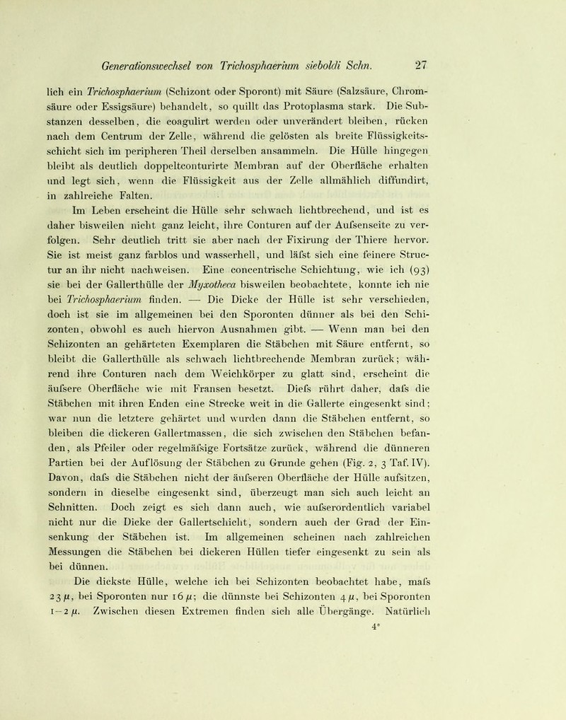 lieh ein Trichosphaerium (Schizont oder Sporont) mit Säure (Salzsäure, Clirom- säure oder Essigsäure) behandelt, so quillt das Protoplasma stark. Die Sub- stanzen desselben, die coagulirt werden oder unverändert bleiben, rücken nach dem Centrum der Zelle, während die gelösten als breite Flüssigkeits- schicht sich im peripheren Theil derselben ansammeln. Die Hülle hingegen bleibt als deutlich doppeltconturirte Membran auf der Oberfläche erhalten und legt sich, wenn die Flüssigkeit aus der Zelle allmählich diffundirt, in zahlreiche Falten. Im Leben erscheint die Hülle sehr schwach lichtbrechend, und ist es daher bisweilen nicht ganz leicht, ihre Conturen auf der Aufsenseite zu ver- folgen. Sehr deutlich tritt sie aber nach der Fixirung der Thiere hervor. Sie ist meist ganz farblos und wasserhell, und läfst sich eine feinere Struc- tur an ihr nicht nachweisen. Eine concentrische Schichtung, wie ich {93) sie bei der Gallerthülle der Myxotheca bisweilen beobachtete, konnte ich nie bei Trichosphaerium finden. — Die Dicke der Hülle ist sehr verschieden, doch ist sie im allgemeinen bei den Sporonten dünner als bei den Schi- zonten, obwohl es auch hiervon Ausnahmen gibt. — Wenn man bei den Schizonten an gehärteten Exemplaren die Stäbchen mit Säure entfernt, so bleibt die Gallerthülle als schwach lichtbrechende Membran zurück; wäh- rend ihre Conturen nach dem Weichkörper zu glatt sind, erscheint die äufsere Oberfläche wie mit Fransen besetzt. Diefs rührt daher, dafs die Stäbchen mit ihren Enden eine Strecke weit in die Gallerte eingesenkt sind; war nun die letztere gehärtet und wurden dann die Stäbchen entfernt, so bleiben die dickeren Gallertmassen, die sich zwischen den Stäbchen befan- den, als Pfeiler oder regelmäfsige Fortsätze zurück, während die dünneren Partien bei der Auflösung der Stäbchen zu Grunde gehen (Fig. 2, 3 Taf. IV). Davon, dafs die Stäbchen nicht der äufseren Oberfläche der Hülle aufsitzen, sondern in dieselbe eingesenkt sind, überzeugt man sich auch leicht an Schnitten. Doch zeigt es sich dann auch, wie aufserordentlich variabel nicht nur die Dicke der Gallertscliicht, sondern auch der Grad der Ein- senkung der Stäbchen ist. Ln allgemeinen scheinen nach zahlreichen Messungen die Stäbchen bei dickeren Hüllen tiefer eingesenkt zu sein als bei dünnen. Die dickste Hülle, welche ich bei Schizonten beobachtet habe, mafs 23/u, bei Sporonten nur i6/u; die dünnste bei Schizonten 4//, bei Sporonten I —2q. Zwischen diesen Extremen finden sich alle Übergänge. Natüidich 4*