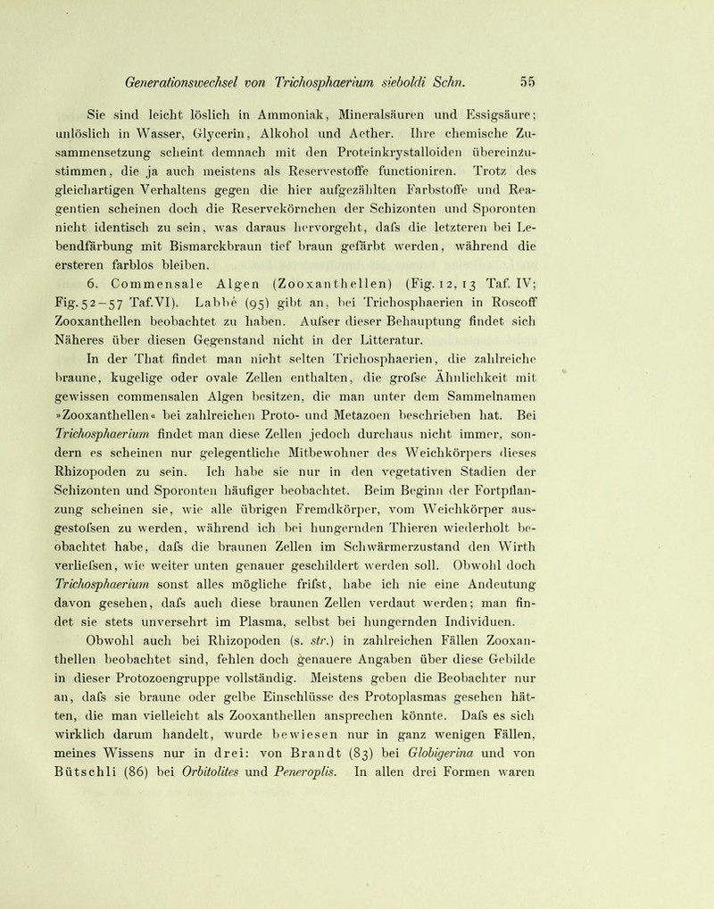 Sie sind leicht löslich in Ammoniak, Mineralsäuren und P^ssigsäure; mdöslich in Wasser, Glycerin, Alkohol und Aether. Ihre chemische Zu- sammensetzung scheint demnach mit den Proteinkrystalloiden überein^u- stimmen, die ja auch meistens als Reservestoffe functioniren. Trotz des gleichartigen Verhaltens gegen die hier aufgezählten P’arbstofte und Rea- gentien scheinen doch die Reservekörnchen der Schizonten und Sporonten nicht identisch zu sein, was daraus Inuvorgeht, dafs die letzteren bei Le- bendfärbung mit Bismarckbraun tief braun gefärbt werden, während die ersteren farblos bleiben. 6. Commensale Algen (Zooxan th eilen) (Fig. 12,13 Taf. IV; Fig.52 —57 Taf.VI). Labbe (95) gibt an, bei Trichosphaerien in Roscoff Zooxanthellen beobachtet zu haben. Aufser dieser Behauptung findet sich Näheres über diesen Gegenstand nicht in der Litteratur. In der That findet man nicht selten Trichosphaerien, die zahlreiche braune, kugelige oder ovale Zellen enthalten, die grofse Ähnlichkeit mit gewissen commensalen Algen besitzen, die man unter dem Sammelnamen «Zooxanthellen« bei zahlreichen Proto- und Metazoen beschrieben hat. Bei Trichosphaerium. findet man diese Zellen jedoch durchaus nicht immer, son- dern es scheinen nur gelegentliche Mitbewohner des Weichkörpers dieses Rhizopoden zu sein. Ich habe sie nur in den vegetativen Stadien der Schizonten und Sporonten häufiger beobachtet. Beim Beginn der Fortpflan- zung scheinen sie, wie alle übrigen Fremdkörper, vom Weichkörper aus- gestofsen zu werden, während ich bei hungernden Thieren wiederholt be- obachtet habe, dafs die braunen Zellen im Schwärmerzustand den Wirth verliefsen, wie weiter unten genauer geschildei’t werden soll. Obwohl doch Trichosphaerium sonst alles mögliche frifst, habe ich nie eine Andeutung davon gesehen, dafs auch diese braunen Zellen verdaut werden; man fin- det sie stets unversehrt im Plasma, selbst bei hungernden Individuen. Obwohl auch bei Rhizopoden (s. str.) in zahlreichen Fällen Zooxan- thellen beobachtet sind, fehlen doch genauere Angaben über diese Gebilde in dieser Protozoengruppe vollständig. Meistens geben die Beobachter nur an, dafs sie braune oder gelbe Einschlüsse des Protoplasmas gesehen hät- ten, die man vielleicht als Zooxanthellen ansprechen könnte. Dafs es sich wirklich darum handelt, wurde bewiesen nur in ganz wenigen Fällen, meines Wissens nur in drei: von Brandt (83) bei Glohigerina und von Bütschli (86) bei Orhitolites und Peneroplis. ln allen drei Formen waren