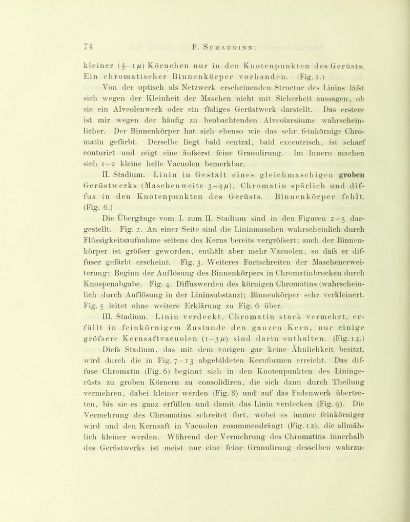 kleiner (F~i/^) Körnclieii nur in den Knotenpunkten des (Jerüsts. Ein chromatischer Binnenkörper vorhandcMi. (Fig. i.) Von der optisch als Netzwerk erscheinenden Stiaictur des Linins lälst sich wegen der Kleinheit der Maschen nicht mit Sicherheit aussagen, ob sie ein Alveolenwerk oder ein fädiges Gerüstwerk darstellt. Das erstere ist mir wegen der häufig zu beobachtenden Alveolarsäume wahrschein- licher. Der Binnenkörper hat sich ebenso wie das sehr feinkörnige Chro- matin gefärbt. Derselbe liegt bald central, bald e.Kcentrisch, ist scharf conturirt und zeigt eine äufserst feine Granulirung. Im Innern machen sicli 1—2 kleine helle Vacuolen bemerkbar. II. Stadium. Linin in Gestalt eines gleichmaschigen groben Gerüstwerks (Maschenweite 3 —4g), Chromatin spärlich und dif- fus in den Knotenpunkten des Gerüsts. Binnenkörper fehlt. (Fig. 6.) Die Übergänge vom I. zum II. Stadium sind in den Figm’en 2-5 dar- gestellt. Fig. 2. An einer Seite sind die Lininmaschen wahi\scheiidich durch Flüssigkeitsaufnahme seitens des Kerns bereits vergröfsert; auch der Binnen- körper ist gröfser geworden, enthält aber mehr Vacuolen, so dafs er dif- fuser gefärbt erscheint. Fig. 3. Weiteres Fortschreiten der Maschenerwei- terung; Beginn der Auflösung des Binnenkörpers in Chromatinbrocken durch Knospenabgabe. Fig. 4. Diflfuswerden des körnigen Chromatins (wahrschein- lich durch Auflösung in der Lininsubstanz); Binnenkörper sehr verkleinert, hdg. 5 leitet ohne Aveitere Idrklärung zu Fig. 6 über. III. Stadium. Linin verdeckt. Chromatin stark vermehrt, er- füllt in feinkörnigem Zustande den ganzen Kern, nur einige gröfsere Kernsaftvacuolen (i —3g) sind darin enthalten. (Fig. 14.) Diefs Stadium, das mit dem vorigen gar keine Ähnlichkeit besitzt, wird durch die in Fig. 7—13 abgebihhden Kernformen erreicht. Das dif- fuse Chromatin (Fig. 6) l)eginnt sich in den Knotenpunkten des Lininge- rüsts zu groben Körnern zu consolidiren, die sich dann durch Theihmg vermehren, dabei kleiner Averden (Fig. 8) und auf das FadenAverk ül)ertre- ten, bis sie es ganz erfüllen und damit das Linin A^erdecken (Fig. 9). Die Vermehrung des Chromatins schreitet fort, wobei es immer feinkörniger Avird und den Kernsaft in Vacuolen zusammendrängt (Fig. i 2), die allmäh- lich kleiner werden. Während der Vermehrung des Chromatins innerhalb des Gerüstwerks ist meist nur eine feine Granulirung desselben wahrzu-