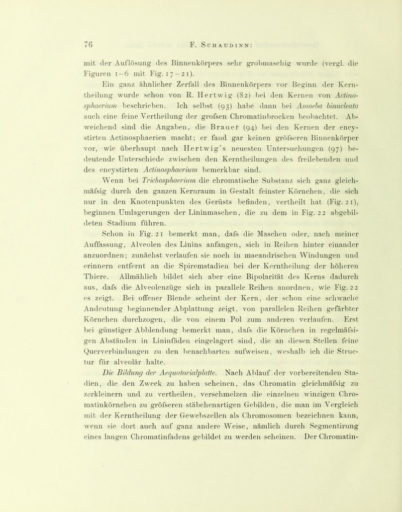 7ß F. Schaudinn; mit der Auflösung des Binneiikörpers sehr grohniaschi«- wurde (vergl. die Figuren i-6 mit Fig. 17-21). Ein ganz ähnlicher Zerfall des Binnenkörpers vor Beginn der Kern- theilung wurde schon von R. Hertwig (821 hei den Kernen von Actino- sphaeriwH heschriehen. Ich selbst (93) habe dann bei Anioeha binucleata auch eine feine Vertheilung der grofsen Chromatini)rocken beobachtet. Ah- weichend sind die Angaben, die Brauer {94) bei den Kernen der ency- stirten Actinosphaerien macht; er fand gar keinen gröfscren Binnenkörper vor, wie überhaupt nach Hertwig’s neuesten Untersuchungen {97) be- deutende Unter.schiede zwischen den Kerntheilungen des freilebenden und des encystirten Actinosphaerium bemerkbar sind. Wenn bei Trkhospliaerium die chromatische Substanz sich ganz gleich- mäfsig durch den ganzen Kernraum in Gestalt feinster Körnchen, die sich nur in den Knotenpunkten des Gerüsts befinden, vertheilt hat (Fig. 21), beginnen Umlagerungen der Lininmaschen, die zu dem in Fig. 22 abgebil- deten Stadium führen. Schon in Fig. 21 bemerkt man, dafs die Maschen oder, nach meiner Auffassung, Alveolen des Linins anfangen, sich in Reihen hinter einander anzuordnen; zunächst verlaufen sie noch in maeandrischen Windungen und erinnern entfernt an die Spiremstadien bei der Kcrntheilung der höheren Thiere. Allmählich bildet sich aber eine Bipolarität des Kerns dadurch aus, dafs die Alveolenzüge sich in parallele Reihen anordnen, wie Fig. 22 es zeigt. Bei offener Blende scheint der Kern, der schon eine schwache Andeutung beginnender Abplattung zeigt, von parallelen Reihen gefärbter Körnchen durchzogen, die von einem Pol zum anderen verlaufen. Erst bei günstiger Abblendung bemerkt man, dafs die Körnchen in regehnäfsi- gen Abständen in Lininfaden eingelagert sind, die an diesen Stellen feine Querverbindungen zu den benachbarten aufweisen, weshalb ich die Struc- tur für alveolär halte. lYie Bildung der Aequatorialplatte. Nach Ablauf der vorbereitenden Sta- dien, die den Zweck zu haben scheinen, das Chromatin gleichmäfsig zu zerkleinern und zu vertheilen, verschmelzen die einzelnen winzigen Chro- matinkörnchen zu gröfseren stäbchenartigen Gebilden, die man im Vergleich mit der Kerntheilung der Gewebszellen als Chromosomen bezeichnen kann, wenn sie dort auch auf ganz andere Weise, nämlich durch Segmentirung eines langen Chromatinfadcns gebildet zu werden scheinen. Der Chromatin-