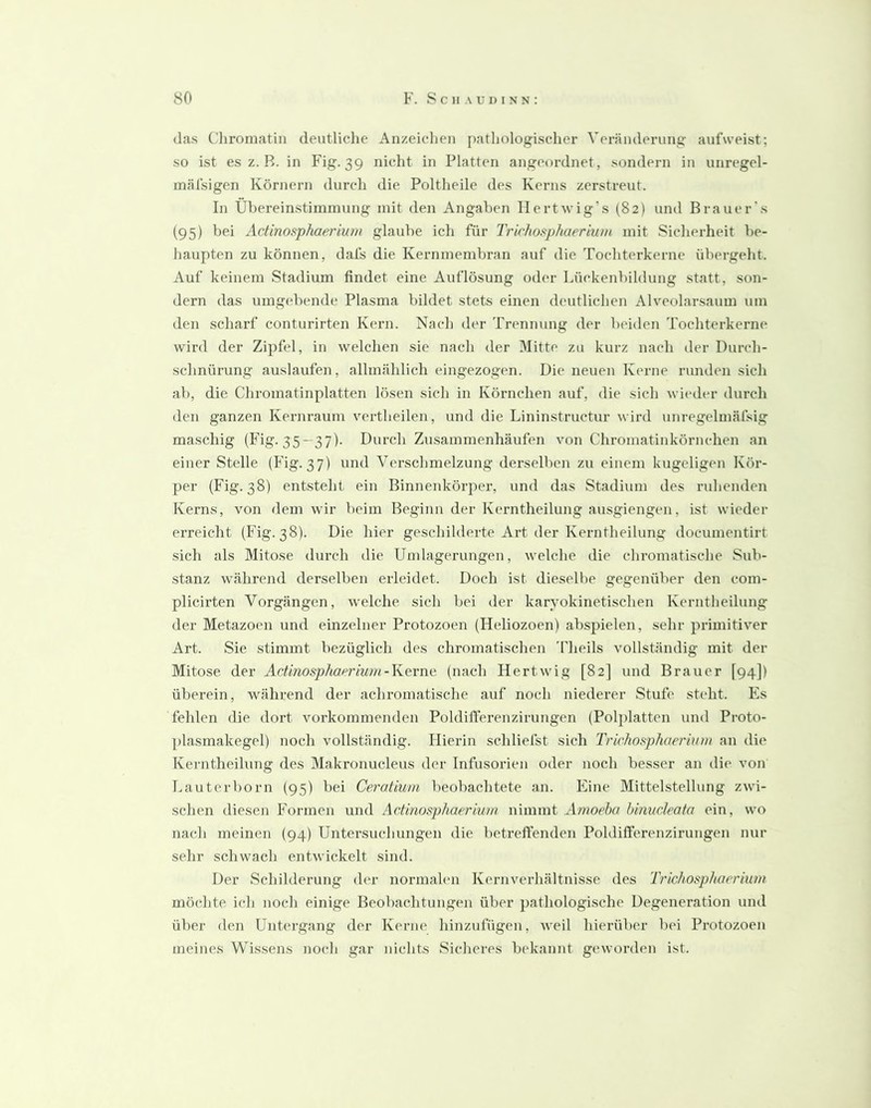 das Chromatiii deutliclie Anzeiclien pathologischer Veränderung aufweist; so ist es z. B. in Fig. 39 nicht in Platten angeordnet, sondern in unregel- mäfsigen Körnern durch die Poltheile des Kerns zerstreut. In Übereinstimmung mit den Angaben Ilertwig’s (82) und Brauer's (95) Actinosphaeriuyn glaube ich für Trichosphaerium mit Sicherheit be- haupten zu können, dafs die Kernmembran auf die Tochterkerne übergelit. Auf keinem Stadium findet eine Auflösung oder Lückenbildung statt, son- dern das umgebende Plasma bildet stets einen deutlichen Alveolarsaum um den scharf conturirten Kern. Nnch der Trennung der beiden Toehterkerne wird der Zipfel, in welehen sie nach der Mitte zu kurz nach der Durch- schnürung auslaufen, allmählich eingezogen. Die neuen Kerne runden sich ab, die Chromatinplatten lösen sich in Körnchen auf, die sich wieder durch den ganzen Kernraum vertheilen, und die Lininstructur wird unregelmäfsig maschig (Fig. 35—37). Durch Zusammenhäufen von Chromatinkörnchen an einer Stelle (Fig. 37) und Verschmelzung derselben zu einem kugeligen Kör- per (Fig. 38) entsteht ein Binnenköriier, und das Stadium des ruhenden Kerns, von dem wir beim Beginn der Kerntheilung ausgiengen, ist wieder erreicht (Fig. 38). Die hier geschilderte Art der Kerntheilung documentirt sich als Mitose durch die Umlagerungen, welche die chromatische Sub- stanz während derselben erleidet. Doch ist diesellie gegenüber den com- plicirten Vorgängen, welche sich bei der karyokinetischen Kerntheilung der Metazoen und einzelner Protozoen (Heliozoen) abspielen, sehr primitiver Art. Sie stimmt bezüglich des chromatischen 'riieils vollständig mit der Mitose der Actinosphaer'ium-KQvvm (nach Hertwig [82] und Brauer [94]) überein, während der achromatische auf noch niederer Stufe steht. Fis fehlen die dort vorkommenden Poldifi’erenzirungen (Pol])latten und Proto- ])lasmakegel) noch vollständig. Hierin schliefst sich Trichosphaeriinu an die Kerntheilung des Makronucleus der Infusorien oder noch besser an die von Lauterborn (95) bei Ceroüum beobachtete an. Fline Mittelstellung zwi- schen diesen Formen und Actmosphaerium nimmt Amoeba blnucleata ein, wo nach meinen (94) Untersuchungen die betrelTenden Poldilferenzirungen nur sehr schwach entwickelt sind. Der Schilderung der normalen Kernverhältnisse des Trichosphaerium möchte ich noch einige Beobachtungen über patliologisehe Degeneration und über den Untergang der Kerne hinzufügen, weil hierüber bei Protozoen meines Wissens noch gar nichts Sicheres bekannt geworden ist.