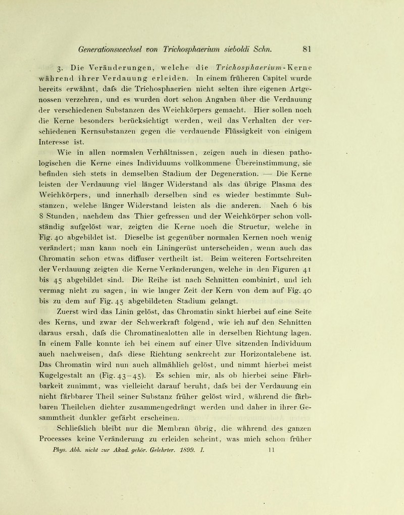 3. Die Veränderungen, welche die Trichosphaerium-Kavnc während ihrer Verdauung erleiden. In einem früheren Capitel wurde bereits erwähnt, dafs die Trichosphaerien nicht selten ihre eigenen Artge- nossen verzehren, und es wurden dort schon Angaben über die Verdauung der verschiedenen Substanzen des Weichkörpers gemacht. Hier sollen noch die Kerne besonders berücksichtigt werden, weil das Verhalten der ver- schiedenen Kernsubstanzen gegen die verdauende Flüssigkeit von einigem Interesse ist. Wie in allen normalen Vei’hältnissen, zeigen auch in diesen patho- logischen die Kerne eines Individuums vollkommene Übereinstimmung, sie befinden sich stets in demselben Stadium der Degeneration. — Die Kerne leisten der Verdauung viel länger Widerstand als das übrige Plasma des Weichkörpers, und innerhalb derselben sind es wieder bestimmte Sub- stanzen, welche länger Widerstand leisten als die anderen. Nach 6 bis 8 Stunden, nachdem das Thier gefressen und der Weichkörper schon voll- ständig aufgelöst war, zeigten die Kerne noch die Structur, welche in Fig. 40 abgebildet ist. Dieselbe ist gegenüber normalen Kernen noch wenig verändert; man kann noch ein Liningerüst unterscheiden, wenn auch das Chromatin schon etwas diffuser vertheilt ist. Beim weiteren Fortschreiten der Verdauung zeigten die Kerne Veränderungen, welche in den Figuren 41 bis 45 abgebildet sind. Die Reihe ist nach Schnitten combinirt, und ich vermag nicht zu sagen, in wie langer Zeit der Kern von dem auf Fig. 40 bis zu dem auf Fig. 45 abgebildeten Stadium gelangt. Zuerst wird das Linin gelöst, das Chromatin sinkt hierbei auf eine Seite des Kerns, und zwar der Scliwerkraft folgend, wie ich auf den Schnitten daraus ersah, dafs die Chromatincalotten alle in derselben Richtung lagen, ln einem Falle konnte ich bei einem auf einer Ulve sitzenden Individuum auch nachweisen, dafs diese Richtung senkrecht zur Horizontalebene ist. Das Chromatin wird nun auch allmählich gelöst, und nimmt hierbei meist Kugelgestalt an (Fig. 43-45). Es schien mir, als ob hierbei seine Färb- barkeit zunimmt, was vielleicht darauf beruht, dafs bei der Verdauung ein nicht färbbarer Theil seiner Substanz früher gelöst wird, während die färb- baren Theilchen dichter zusammengedrängt werden und daher in ihrer Ge- sammtheit dunkler gefärbt erscheinen. Schliefslich bleibt nur die Membran übrig, die während des ganzen Processes keine Veränderung zu erleiden scheint, was mich schon früher Phys. Abh. nicht zur Akad. gehör. Gelehrter. 1899. I. 11