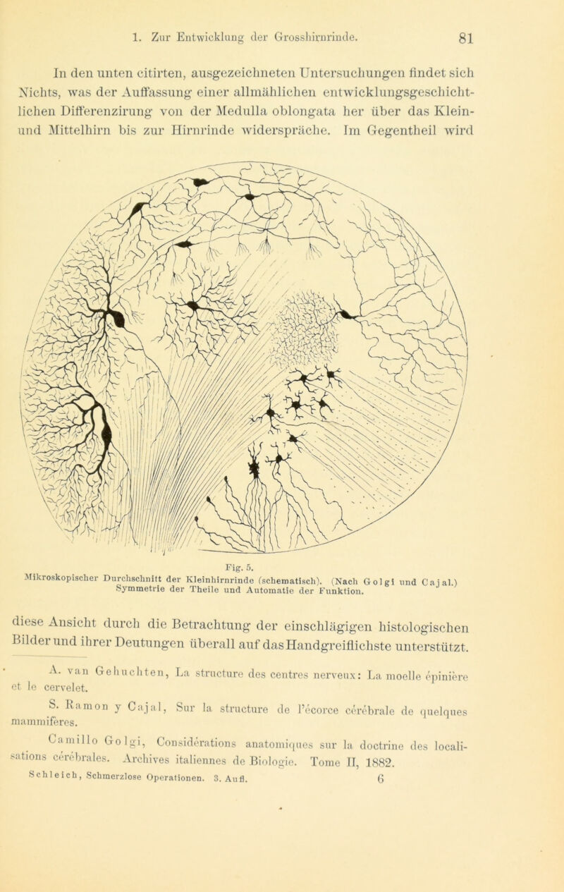 In den nuten eitirten, ausgezeichneten Untersuchungen findet sich Nichts, was der Auffassung einer allmählichen entwicklungsgescliiclit- lichen Differenzirung von der IMedulla oblongata her über das Klein- und ^littelhirn bis zur Hirnrinde widerspräche. Im Gegentheil wird Fig. 5, Mikroskopischer Durchschnitt der Kleinhirnrinde (schematisch). (Nach Golgi und Caial.) Symmetrie der Theile und Automatic der Funktion. diese Ansicht durch die Betrachtung der einschlägigen histologischen Bilderund ihrer Deutungen überall auf das Handgreiflichste unterstützt. A. van Geliiicliten, La structure des centres nerveux: La nioelle öpiniore et le cervelet. S. Ramon y Cajal, Sur la structure de l’ecorce cerebrale de ([uelques maimniferes. Camillo Golgi, Considerations anatomi(|ues sur la doctrine des locali- satioiis cm’ebrales. Arcliives italiennes de Biologie. Tome II, 1882. Schleich, Schmerzlose Operationen. 3. Aufl. 6