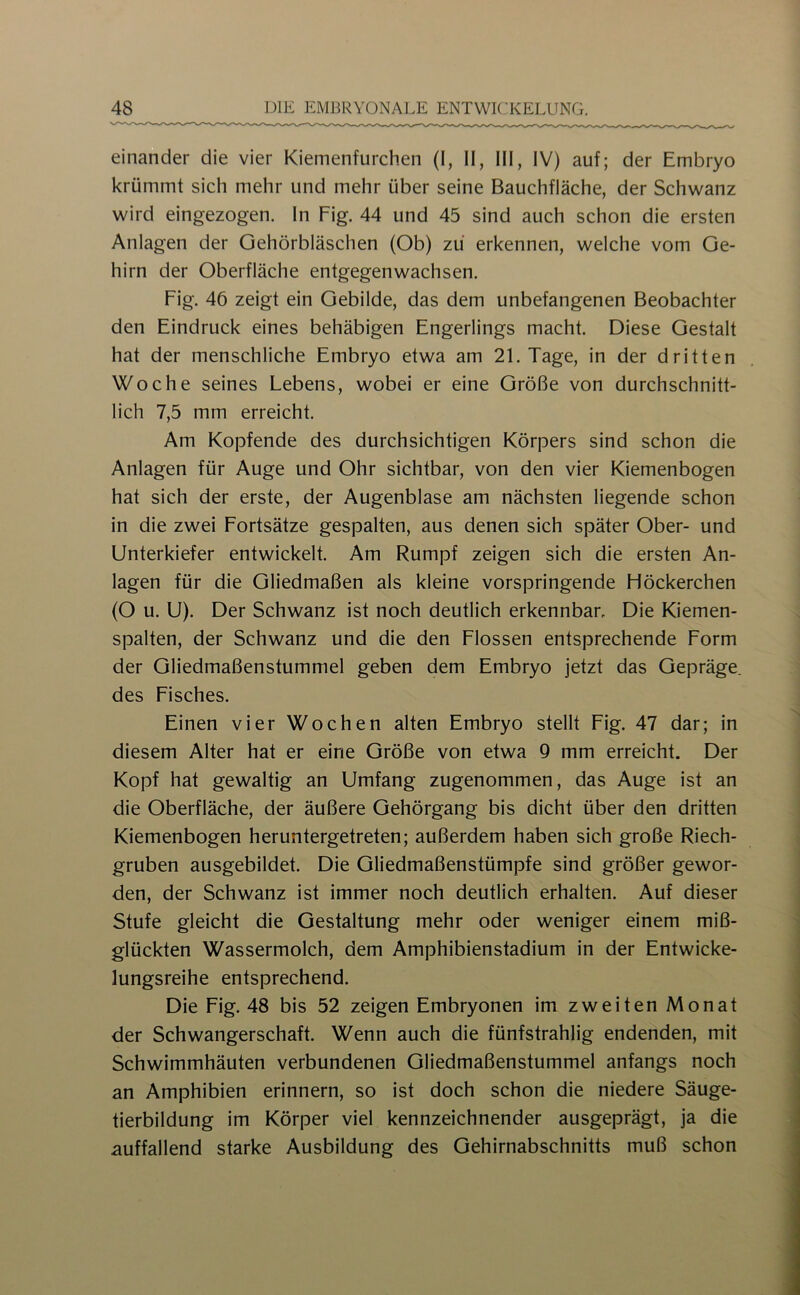 einander die vier Kiemenfurchen (I, II, III, IV) auf; der Embryo krümmt sich mehr und mehr über seine Bauchfläche, der Schwanz wird eingezogen. In Fig. 44 und 45 sind auch schon die ersten Anlagen der Gehörbläschen (Ob) zu erkennen, welche vom Ge- hirn der Oberfläche entgegenwachsen. Fig. 46 zeigt ein Gebilde, das dem unbefangenen Beobachter den Eindruck eines behäbigen Engerlings macht. Diese Gestalt hat der menschliche Embryo etwa am 21. Tage, in der dritten Woche seines Lebens, wobei er eine Größe von durchschnitt- lich 7,5 mm erreicht. Am Kopfende des durchsichtigen Körpers sind schon die Anlagen für Auge und Ohr sichtbar, von den vier Kiemenbogen hat sich der erste, der Augenblase am nächsten liegende schon in die zwei Fortsätze gespalten, aus denen sich später Ober- und Unterkiefer entwickelt. Am Rumpf zeigen sich die ersten An- lagen für die Gliedmaßen als kleine vorspringende Höckerchen (O u. U). Der Schwanz ist noch deutlich erkennban Die Kiemen- spalten, der Schwanz und die den Flossen entsprechende Form der Gliedmaßenstummel geben dem Embryo jetzt das Gepräge, des Fisches. Einen vier Wochen alten Embryo stellt Fig. 47 dar; in diesem Alter hat er eine Größe von etwa Q mm erreicht. Der Kopf hat gewaltig an Umfang zugenommen, das Auge ist an die Oberfläche, der äußere Gehörgang bis dicht über den dritten Kiemenbogen heruntergetreten; außerdem haben sich große Riech- gruben ausgebildet. Die Gliedmaßenstümpfe sind größer gewor- den, der Schwanz ist immer noch deutlich erhalten. Auf dieser Stufe gleicht die Gestaltung mehr oder weniger einem miß- glückten Wassermolch, dem Amphibienstadium in der Entwicke- lungsreihe entsprechend. Die Fig. 48 bis 52 zeigen Embryonen im zweiten Monat der Schwangerschaft. Wenn auch die fünfstrahlig endenden, mit Schwimmhäuten verbundenen Gliedmaßenstummel anfangs noch an Amphibien erinnern, so ist doch schon die niedere Säuge- tierbildung im Körper viel kennzeichnender ausgeprägt, ja die auffallend starke Ausbildung des Gehirnabschnitts muß schon