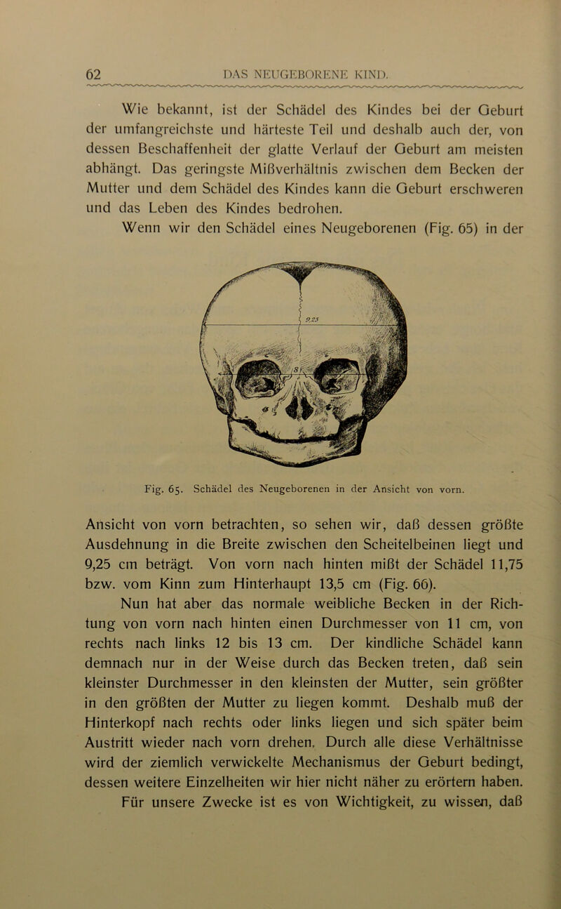 Wie bekannt, ist der Schädel des Kindes bei der Geburt der umfangreichste und härteste Teil und deshalb auch der, von dessen Beschaffenheit der glatte Verlauf der Geburt am meisten abhängt. Das geringste Mißverhältnis zwischen dem Becken der Mutter und dem Schädel des Kindes kann die Geburt erschweren und das Leben des Kindes bedrohen. Wenn wir den Schädel eines Neugeborenen (Fig. 65) in der Fig. 65. Schädel des Neugeborenen in der Ansicht von vorn. Ansicht von vorn betrachten, so sehen wir, daß dessen größte Ausdehnung in die Breite zwischen den Scheitelbeinen liegt und 9,25 cm beträgt. Von vorn nach hinten mißt der Schädel 11,75 bzw. vom Kinn zum Hinterhaupt 13,5 cm (Fig. 66). Nun hat aber das normale weibliche Becken in der Rich- tung von vorn nach hinten einen Durchmesser von 11 cm, von rechts nach links 12 bis 13 cm. Der kindliche Schädel kann demnach nur in der Weise durch das Becken treten, daß sein kleinster Durchmesser in den kleinsten der Mutter, sein größter in den größten der Mutter zu liegen kommt. Deshalb muß der Hinterkopf nach rechts oder links liegen und sich später beim Austritt wieder nach vorn drehen. Durch alle diese Verhältnisse wird der ziemlich verwickelte Mechanismus der Geburt bedingt, dessen weitere Einzelheiten wir hier nicht näher zu erörtern haben. Für unsere Zwecke ist es von Wichtigkeit, zu wissen, daß