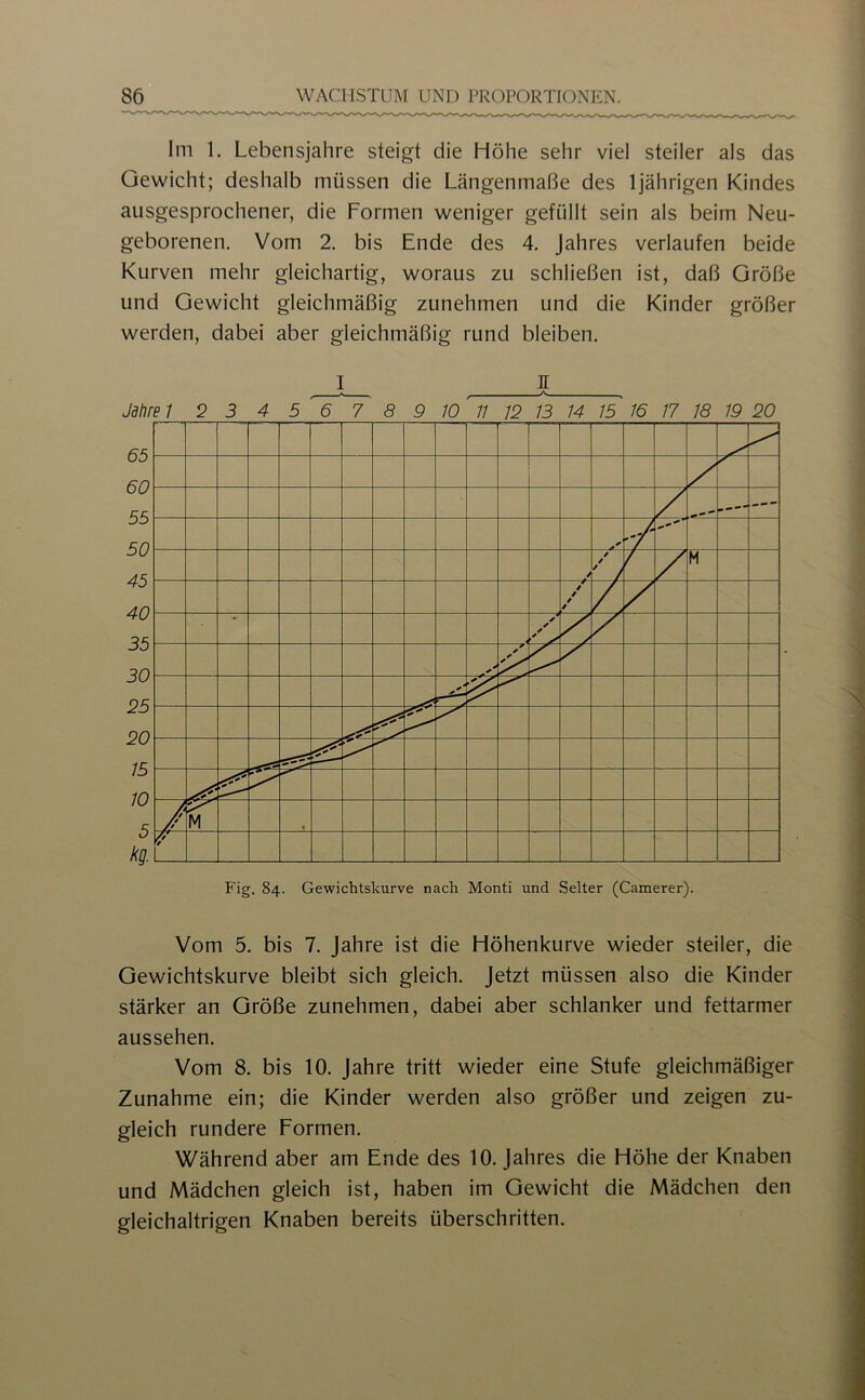 Im 1. Lebensjahre steigt die Höhe sehr viel steiler als das Gewicht; deshalb müssen die Längenmaße des 1jährigen Kindes ausgesprochener, die Formen weniger gefüllt sein als beim Neu- geborenen. Vom 2. bis Ende des 4. Jahres verlaufen beide Kurven mehr gleichartig, woraus zu schließen ist, daß Größe und Gewicht gleichmäßig zunehmen und die Kinder größer werden, dabei aber gleichmäßig rund bleiben. I II . A., ^ Fig. 84. Gewichtskurve nach Monti und Selter (Camerer). Vom 5. bis 7. Jahre ist die Höhenkurve wieder steiler, die Gewichtskurve bleibt sich gleich. Jetzt müssen also die Kinder stärker an Größe zunehmen, dabei aber schlanker und fettarmer aussehen. Vom 8. bis 10. Jahre tritt wieder eine Stufe gleichmäßiger Zunahme ein; die Kinder werden also größer und zeigen zu- gleich rundere Formen. Während aber am Ende des 10. Jahres die Höhe der Knaben und Mädchen gleich ist, haben im Gewicht die Mädchen den gleichaltrigen Knaben bereits überschritten.