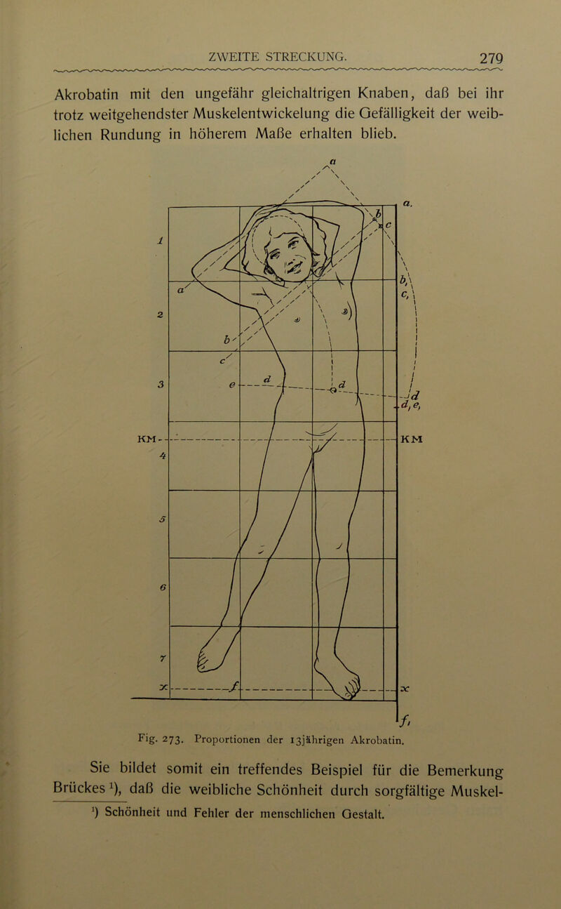 Akrobatin mit den ungefähr gleichaltrigen Knaben, daß bei ihr trotz weitgehendster Muskelentwickelung die Gefälligkeit der weib- lichen Rundung in höherem Maße erhalten blieb. a Sie bildet somit ein treffendes Beispiel für die Bemerkung Brückes ^), daß die weibliche Schönheit durch sorgfältige Muskel- h Schönheit und Fehler der menschlichen Gestalt.