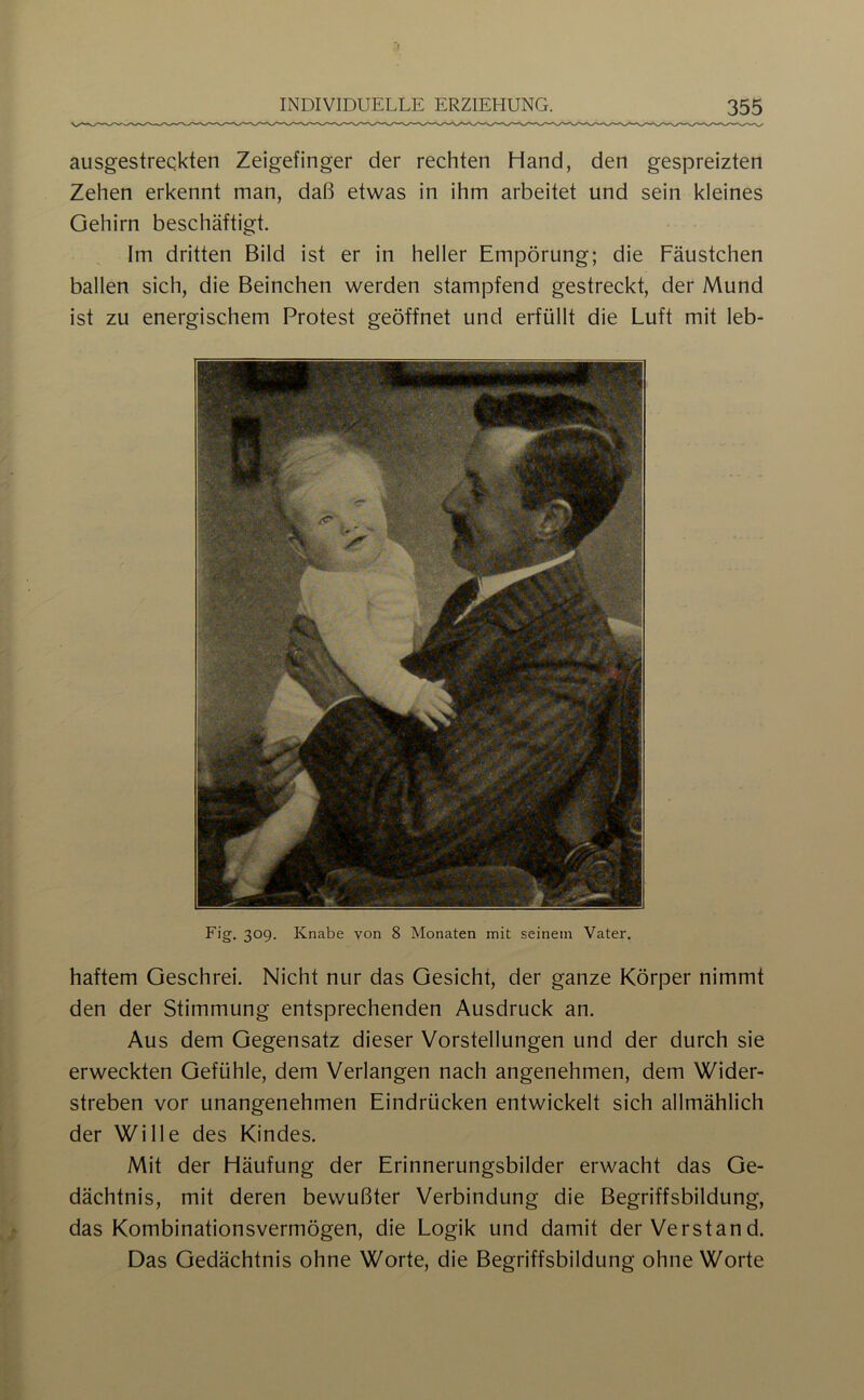 ausgestreqkten Zeigefinger der rechten Hand, den gespreizten Zehen erkennt man, daß etwas in ihm arbeitet und sein kleines Gehirn beschäftigt. Im dritten Bild ist er in heller Empörung; die Fäustchen ballen sich, die Beinchen werden stampfend gestreckt, der Mund ist zu energischem Protest geöffnet und erfüllt die Luft mit leb- Eig. 309. Knabe von 8 Monaten mit seinem Vater. haftem Geschrei. Nicht nur das Gesicht, der ganze Körper nimmt den der Stimmung entsprechenden Ausdruck an. Aus dem Gegensatz dieser Vorstellungen und der durch sie erweckten Gefühle, dem Verlangen nach angenehmen, dem Wider- streben vor unangenehmen Eindrücken entwickelt sich allmählich der Wille des Kindes. Mit der Häufung der Erinnerungsbilder erwacht das Ge- dächtnis, mit deren bewußter Verbindung die Begriffsbildung, das Kombinationsvermögen, die Logik und damit der Verstand. Das Gedächtnis ohne Worte, die Begriffsbildung ohne Worte