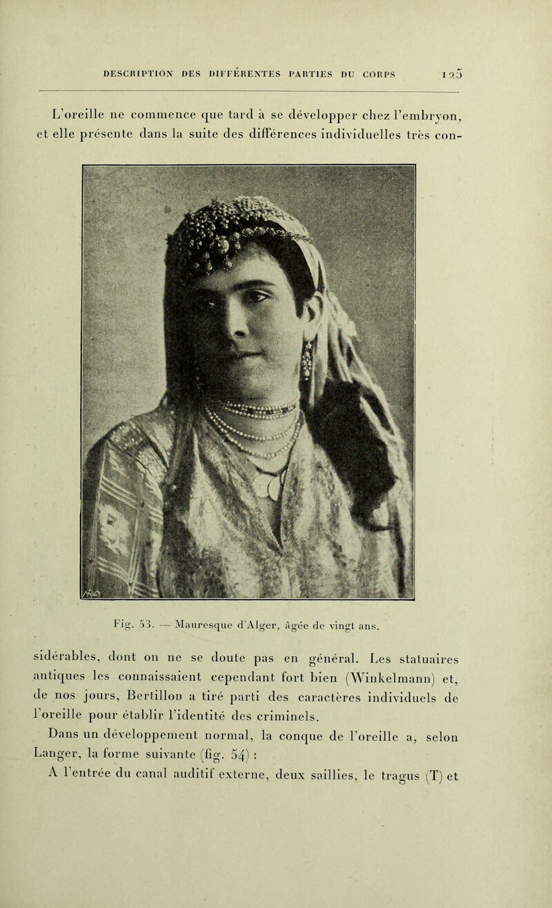 L’oreille ne commence que tard à se développer chez l’embrvon, et elle présente dans la suite des différences individuelles très con- tig. 53. — Mauresque d’Alger, âgée de vingt ans. sidérables, dont on ne se doute pas en général. Les statuaires antiques les connaissaient cependant fort bien (Winkelmann) et, de nos jours, Bertillon a tiré parti des caractères individuels de 1 oreille pour établir l’identité des criminels. Dans un développement normal, la conque de l’oreille a, selon Langer, la forme suivante (fig. 54) : A l’entrée du canal auditif externe, deux saillies, le tragus (T) et