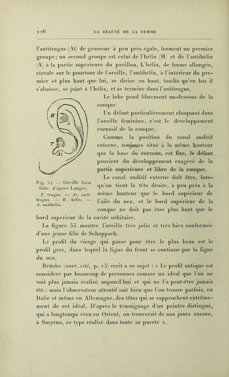 l’antitragus (At) de grosseur à peu près égale, forment un premier groupe ; un second groupe est celui de l’hélix (H) et de l’antihélix (A) à la partie supérieure du pavillon. L'hélix, de forme allongée, circule sur le pourtour de l'oreille, l’antihélix, à l'intérieur du pre- mier -et plus haut que lui, se divise en haut, tandis qu’en bas il s’abaisse, se joint à l’hélix, et se termine dans l’antitragus. Le lobe pend librement au-dessous de la conque. Un défaut particulièrement choquant dans l’oreille féminine, c’est le développement excessif de la conque. Comme la position du canal auditif externe, toujours situé à la même hauteur que la base du cerveau, est fixe, le défaut provient du développement exagéré de la partie supérieure et libre de la conque. Le canal auditif externe doit être, lors- qu’on tient la tête droite, à peu près à la même hauteur que le bord supérieur de l’aile du nez, et le bord supérieur de la conque ne doit pas être plus haut que le bord supérieur de la cavité orbitaire. La figure 55 montre 1 oreille très jolie et très bien conformée d’une jeune fille de Schappach. Le profil du visage qui passe pour être le plus beau est le profil grec, dans lequel la ligne du front se continue par la ligne du nez. Brücke iouvr. cité, p. 13) écrit à ce sujet : « Le profil antique est considéré par beaucoup de personnes comme un idéal que l’on ne voit plus jamais réalisé aujourd hui et qui ne l’a peut-être jamais été ; mais l’observateur attentif sait bien que l’on trouve parfois, en Italie et même en Allemagne, des têtes qui se rapprochent extrême- ment de cet idéal. D’après le témoignage d’un peintre distingué, qui a longtemps vécu en Orient, on trouverait de nos jours encore, à Smyrne, ce type réalisé dans toute sa pureté ». Fig. 54- — Oreille bien faite, d’après Langer. T, tragus. — Al, anti- tragus. — II, hélix. — A, antihélix.