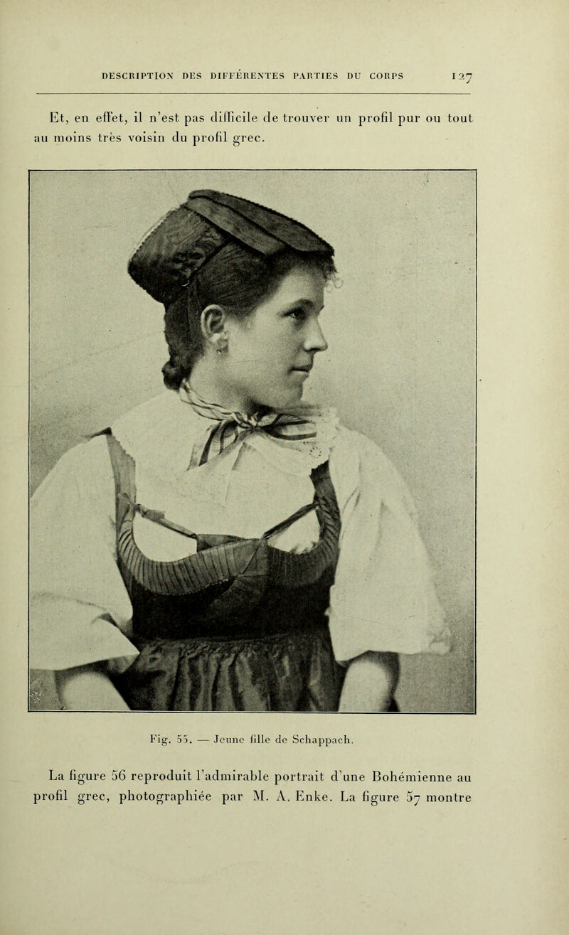 Et, en effet, il n’est pas difficile de trouver un profil pur ou tout au moins très voisin du profil grec. Fig. 55. — Jeune fille de Schappach. La figure 56 reproduit l’admirable portrait d’une Bohémienne au profil grec, photographiée par M. A. Enke. La figure 57 montre