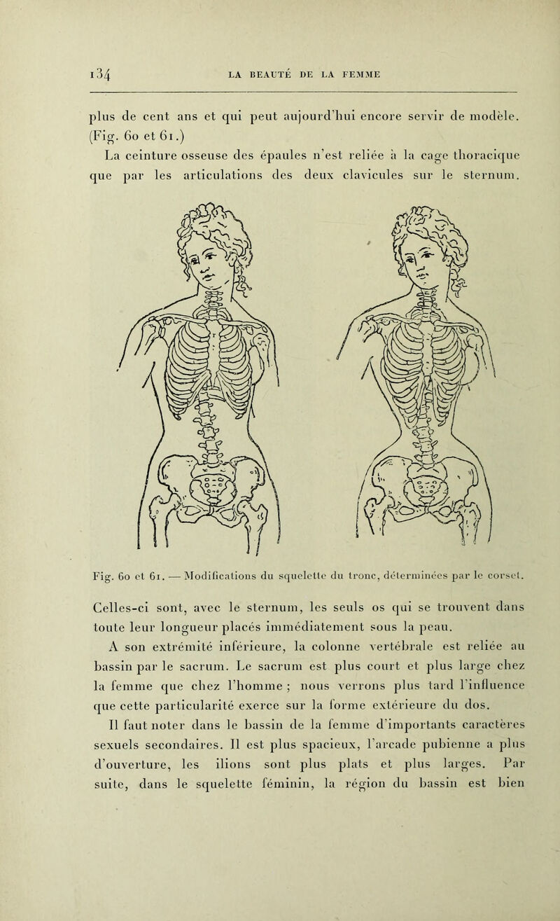 plus cle cent ans et qui peut aujourd’hui encore servir de modèle. (Fig. 60 et 61.) La ceinture osseuse des épaules n’est reliée à la cage thoracique que par les articulations des deux clavicules sur le sternum. Fig. 60 et 61. — Modifications du squelette du tronc, déterminées par le corset. Celles-ci sont, avec le sternum, les seuls os qui se trouvent dans toute leur longueur placés immédiatement sous la peau. A son extrémité inférieure, la colonne vertébrale est reliée au bassin par le sacrum. Le sacrum est plus court et plus large chez la femme que chez l’homme ; nous verrons plus tard l’influence que cette particularité exerce sur la forme extérieure du dos. Il faut noter dans le bassin de la femme d'importants caractères sexuels secondaires. Il est plus spacieux, l’arcade pubienne a plus d’ouverture, les ilions sont plus plats et plus larges. Par suite, dans le squelette féminin, la région du bassin est bien