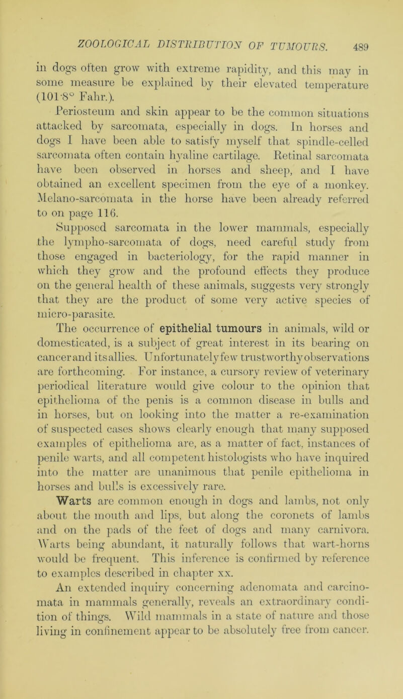 ill dogs often grow with extreme rapidity, and this may in some measure be explained by their elevated temperature (101-8° Fahr.). Periosteum and skin appear to be the common situations attacked by sarcomata, especially in dogs. In horses and dogs I have been able to satisfy myself that spindle-celled sarcomata often contain hyaline cartilage. Retinal sarcomata have been observed in horses and sheep, and I have obtained an excellent specimen from the eye of a monkey. Melano-sarcomata in the horse have been already referred to on page 116. Supposed sarcomata in the lower mammals, especially the lyinpho-sarcomata of dogs, need careful study from those engaged in bacteriology, for the rapid manner in which they grow and the profound effects they produce on the general health of these animals, suggests very strongly that they are the product of some very active species of micro-parasite. The occurrence of epithelial tumours in animals, wild or domesticated, is a subject of great interest in its bearing on cancerand itsallies. Unfortunatelyfew trustworthy observations are forthcoming. For instance, a cursory review of veterinary periodical literature would give colour to the opinion that epithelioma of the penis is a common disease in bulls and in horses, but on looking into the matter a re-examination of suspected cases shows clearly enough that many supposed examples of epithelioma are, as a matter of fact, instances of penile warts, and all competent histologists who have inquired into the matter arc unanimous that penile epithelioma in horses and bulls is excessively rare. Warts are common enough in dogs and lambs, not only about the mouth and lips, but along the coronets of lambs and on the pads of the feet of dogs and many carnivora. Warts being abundant, it naturally follows that wart-horns would be frequent. This inference is confirmed by reference to examples described in chapter xx. An extended inquiry concerning adenomata and carcino- mata in mammals gcnerallv, reveals an extraordinary condi- tion of things. Wild mammals in a state of nature and those living in confinement appear to be absolutely free irom cancer.