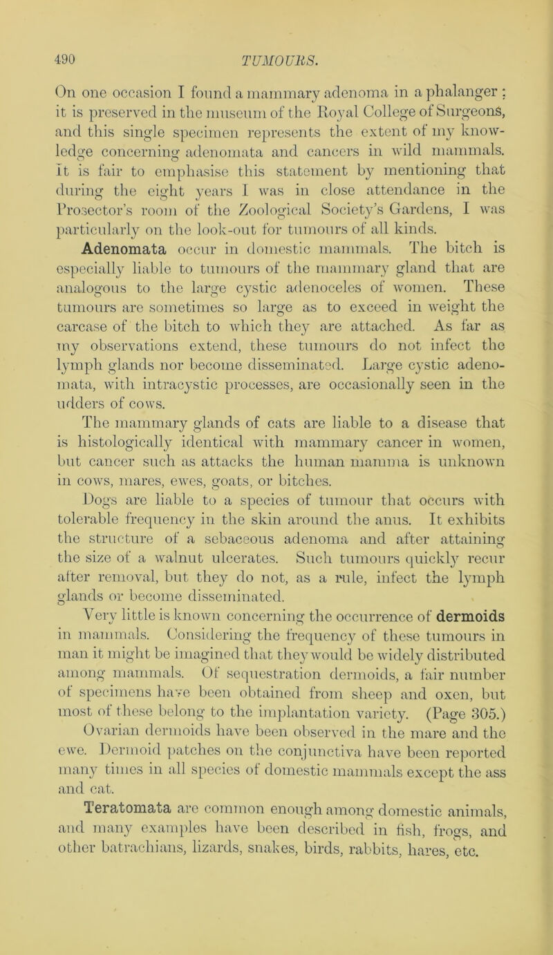 On one occasion I found a mammary adenoma in a phalanger : it is preserved in the museum of the Royal College of Surgeons, and this single specimen represents the extent of my know- ledge concerning adenomata and cancers in wild mammals, it is fair to emphasise this statement by mentioning that during the eight years I was in close attendance in the Prosector’s room of the Zoological Society’s Gardens, I was particularly on the look-out for tumours of all kinds. Adenomata occur in domestic mammals. The bitch is especially liable to tumours of the mammary gland that are analogous to the large cystic adenoceles of women. These tumours are sometimes so large as to exceed in weight the carcase of the bitch to which they are attached. As far as my observations extend, these tumours do not infect the lymph glands nor become disseminated. Large cystic adeno- mata, with intracystic processes, are occasionally seen in the udders of cows. The mammary glands of cats are liable to a disease that is histologically identical with mammary cancer in women, but cancer such as attacks the human mamma is unknown in cows, mares, ewes, goats, or bitches. Dogs are liable to a species of tumour that occurs with tolerable frequency in the skin around the anus. It exhibits the structure of a sebaceous adenoma and after attaining the size of a walnut ulcerates. Such tumours quickly recur after removal, but they do not, as a rule, infect the lymph glands or become disseminated. Very little is known concerning the occurrence of dermoids in mammals. Considering the frequency of these tumours in man it might be imagined that they would be widely distributed among mammals. Ot sequestration dermoids, a fair number ol specimens have been obtained from sheep and oxen, but most of these belong to the implantation variety. (Page 305.) Ovarian dermoids have been observed in the mare and the ewe. Dermoid patches on the conjunctiva have been reported many times in all species ol domestic mammals except the ass and cat. Teratomata are common enough among domestic animals, and many examples have been described in fish, frogs, and other batracliians, lizards, snakes, birds, rabbits, hares, etc.