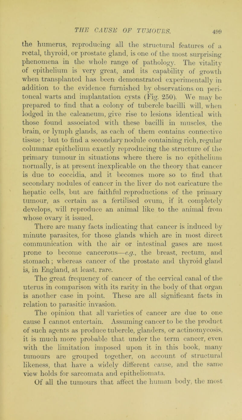 the humerus, reproducing all the structural features of a rectal, thyroid, or prostate gland, is one of the most surprising phenomena in the whole range of pathology. The vitality of epithelium is very great, and its capability of growth when transplanted has been demonstrated experimentally in addition to the evidence furnished by observations on peri- toneal warts and implantation cysts (Fig. 250). We may be prepared to find that a colony of tubercle bacilli will, when lodged in the calcaneum, give rise to lesions identical with those found associated with these bacilli in muscles, the brain, or lymph glands, as each of them contains connective tissue ; but to find a secondary nodule containing rich, regular columnar epithelium exactly reproducing the structure of the primary tumour in situations where there is no epithelium normally, is at present inexplicable on the theory that cancer is due to coccidia, and it becomes more so to find that secondary nodules of cancer in the liver do not caricature the hepatic cells, but are faithful reproductions of the primary tumour, as certain as a fertilised ovum, if it completely develops, will reproduce an animal like to the animal from whose ovary it issued. There are many facts indicating that cancer is induced by minute parasites, for those glands which arc in most direct communication with the air or intestinal gases are most prone to become cancerous—e.g., the breast, rectum, and stomach; whereas cancer of the prostate and thyroid gland is, in England, at least, rare. The great frequency of cancer of the cervical canal of the uterus in comparison with its rarity in the body of that organ is another case in point. These are all significant facts in relation to parasitic invasion. The opinion that all varieties of cancer are due to one cause 1 cannot entertain. Assuming cancer to be the product of such agents as produce tubercle, glanders, or actinomycosis, it is much more probable that under the term cancer, even with the limitation imposed upon it in this book, many tumours are grouped together, on account of structural likeness, that have a widely different cause, and the same view holds for sarcomata and epitheliomata. Of all the tumours that affect the human body, the most