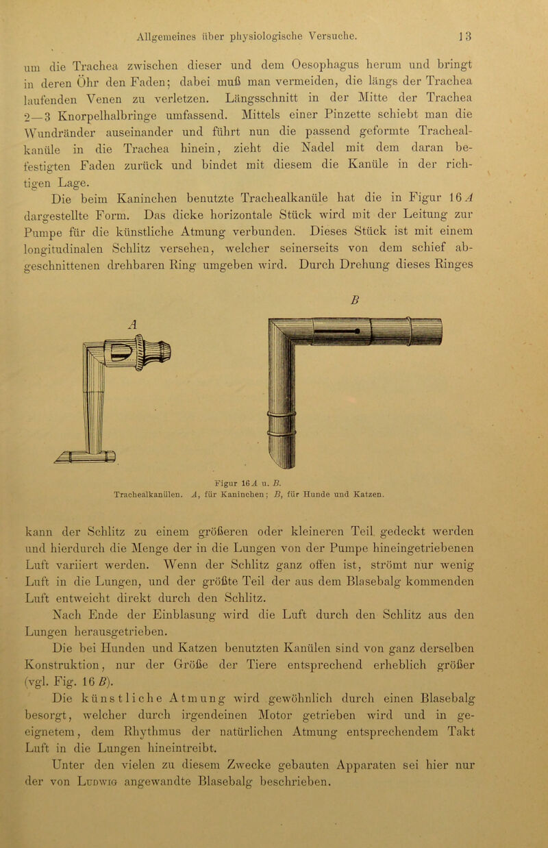 um die Trachea zwischen dieser und dem Oesophagus herum und bringt in deren Öhr den Faden; dabei muß man vermeiden, die längs der Trachea laufenden Venen zu verletzen. Längsschnitt in der Mitte der Trachea 2—3 Knorpelhalbringe umfassend. Mittels einer Pinzette schiebt man die Wundränder auseinander und führt nun die passend geformte Tracheal- kanüle in die Trachea hinein, zieht die Nadel mit dem daran be- festigten Faden zurück und bindet mit diesem die Kanüle in der rich- tigen Lage. Die beim Kaninchen benutzte Trachealkanüle hat die in Figur 16.4 dargestellte Form. Das dicke horizontale Stück wird mit der Leitung zur Pumpe für die künstliche Atmung verbunden. Dieses Stück ist mit einem longitudinalen Schlitz versehen, welcher seinerseits von dem schief ab- geschnittenen drehbaren Ring umgeben wird. Durch Drehung dieses Ringes B Figur 16 A u. B. Trachealkanülen. A, für Kaninchen; B, für Hunde und Katzen. kann der Schlitz zu einem größeren oder kleineren Teil gedeckt werden und hierdurch die Menge der in die Lungen von der Pumpe hineingetriebenen Luft variiert werden. Wenn der Schlitz ganz offen ist, strömt nur wenig Luft in die Lungen, und der größte Teil der aus dem Blasebalg kommenden Luft entweicht direkt durch den Schlitz. Nach Ende der Einblasung wird die Luft durch den Schlitz aus den Lungen herausgetrieben. Die bei Hunden und Katzen benutzten Kanülen sind von ganz derselben Konstruktion, nur der Größe der Tiere entsprechend erheblich größer (vgl. Fig. 16 B). Die künstliche Atmung wird gewöhnlich durch einen Blasebalg besorgt, welcher durch irgendeinen Motor getrieben wird und in ge- eignetem , dem Rhythmus der natürlichen Atmung entsprechendem Takt Luft in die Lungen hineintreibt. Unter den vielen zu diesem Zwecke gebauten Apparaten sei hier nur der von Ludwig angewandte Blasebalg beschrieben.