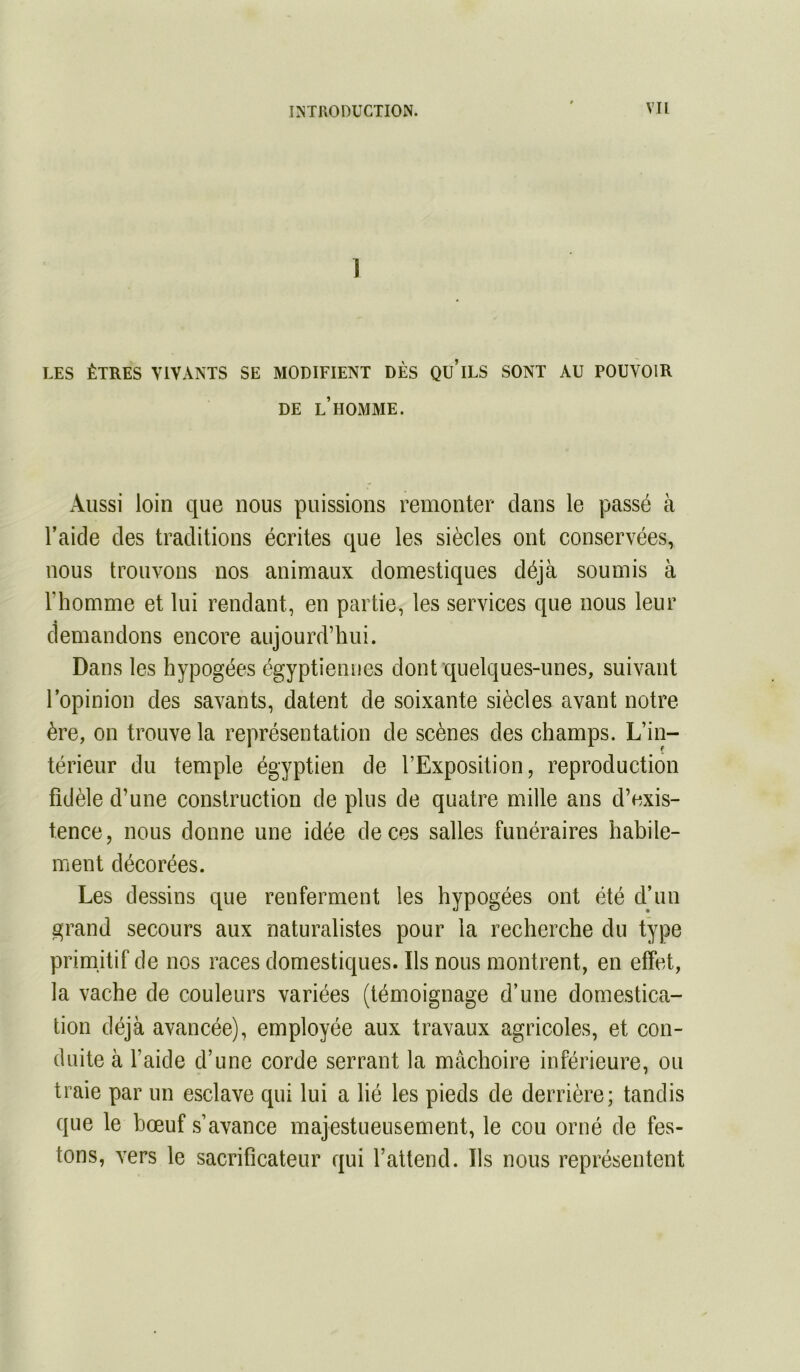 J LES ÊTRES VIVANTS SE MODIFIENT DÈS QU’iLS SONT AU POUVOIR DE l’homme. Aussi loin que nous puissions remonter dans le passé à l’aide des traditions écrites que les siècles ont conservées, nous trouvons nos animaux domestiques déjà soumis à l’homme et lui rendant, en partie, les services que nous leur demandons encore aujourd’hui. Dans les hypogées égyptiennes dont quelques-unes, suivant l’opinion des savants, datent de soixante siècles avant notre ère, on trouve la représentation de scènes des champs. L’in- térieur du temple égyptien de l’Exposition, reproduction fidèle d’une construction de plus de quatre mille ans d’exis- tence, nous donne une idée de ces salles funéraires habile- ment décorées. Les dessins que renferment les hypogées ont été d’un grand secours aux naturalistes pour la recherche du type primitif de nos races domestiques. Ils nous montrent, en effet, la vache de couleurs variées (témoignage d’une domestica- tion déjà avancée), employée aux travaux agricoles, et con- duite à l’aide d’une corde serrant la mâchoire inférieure, ou traie par un esclave qui lui a lié les pieds de derrière; tandis que le bœuf s’avance majestueusement, le cou orné de fes- tons, vers le sacrificateur qui l’attend. Ils nous représentent