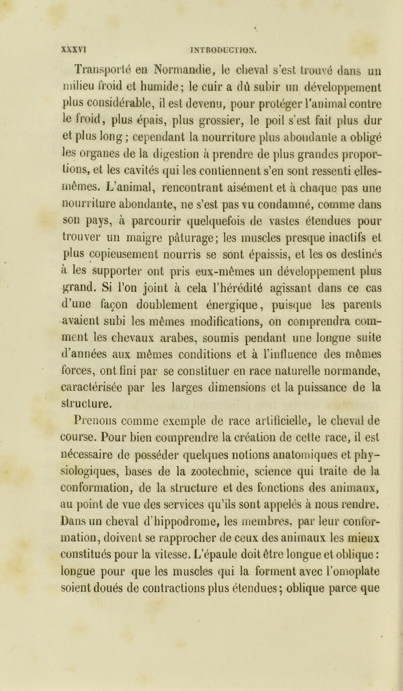 Transporté en Normandie, le cbeval s’est trouvé dans un milieu froid et humide; le cuir a du subir un développement plus considérable, il est devenu, pour protéger Tanimal contre le froid, plus épais, plus grossier, le poil s’est fait plus dur et plus long ; cependant la nourriture plus abondante a obligé les organes de la digestion à prendre de plus grandes propor- tions, et les cavités qui les contiennent s’en sont ressenti elles- mêmes. L’animal, rencontrant aisément et à chaque pas une nourriture abondante, ne s’est pas vu condamné, comme dans son pays, à parcourir quelquefois de vastes étendues pour trouver un maigre pâturage; les muscles presque inactifs et plus copieusement nourris se sont épaissis, et les os destinés à les supporter ont pris eux-mêmes un développement plus grand. Si l’on joint à cela l’hérédité agissant dans ce cas d’une façon doublement énergique, puisque les parents avaient subi les mêmes modifications, on conq^rendra com- ment les chevaux arabes, soumis pendant une longue suite d’années aux mêmes conditions et à l’influence des mêmes forces, ont fini par se constituer en race naturelle normande, caractérisée par les larges dimensions et la puissance de la structure. Prenons comme exemple de race artificielle, le cheval de course. Pour bien comprendre la création de cette race, il est nécessaire de posséder quelques notions anatomiques et phy- siologiques, bases de la zootechnie, science qui traite de la conformation, de la structure et des fonctions des animaux, au point de vue des services qu’ils sont appelés à nous rendre. Dans un cheval d’hippodrome, les membres, par leur confor- mation, doivent se rapprocher de ceux des animaux les mieux constitués pour la vitesse. L’épaule doit être longue et oblique : longue pour que les muscles qui la forment avec l’omoplate soient doués de contractions plus étendues; oblique parce que