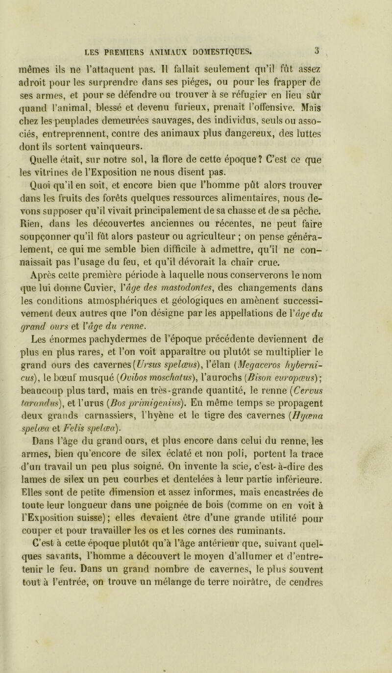 mêmes ils ne l’attaquent pas. Il fallait seulement qu’il fut assez adroit pour les surprendre dans ses pièges, ou pour les frapper de ses armes, et pour se défendre ou trouver à se réfugier en lieu sûr quand l’animal, blessé et devenu furieux, prenait l’olfensive. Mais chez les peuplades demeurées sauvages, des individus, seuls ou asso- ciés, entreprennent, contre des animaux plus dangereux, des luttes dont ils sortent vainqueurs. Quelle était, sur notre sol, la flore de cette époque? C’est ce que les vitrines de l’Exposition ne nous disent pas. Quoi qu’il en soit, et encore bien que l’homme pût alors trouver dans les fruits des forêts quelques ressources alimentaires, nous de- vons supposer qu’il vivait principalement de sa chasse et de sa pèche. Rien, dans les découvertes anciennes ou récentes, ne peut faire soupçonner qu’il fût alors pasteur ou agriculteur ; on pense généra- lement, ce qui me semble bien difficile à admettre, qu’il ne con- naissait pas l’usage du feu, et qu’il dévorait la chair crue. Après celte première période à laquelle nous conserverons le nom que lui donne Cuvier, Vâge des mastodontes, des changements dans les conditions atmosphériques et géologiques en amènent successi- vement deux autres que l’on désigne par les appellations de Vâge du grand ours et Vâge du renne. Les énormes pachydermes de l’époque précédente deviennent de plus en plus rares, et l’on voit apparaître ou plutôt se multiplier le grand ours des cavernes spelœus),Vé\m. {Megaceros hyberni- cus), le bœuf musqué {Ovibos moschatus), l’aurochs [Bison europœus); beaucoup plus tard, mais en très-grande quantité, le renne [Cervus tarandus), etl’urus [Bos primigenius). En même temps se propagent deux grands carnassiers, l’hyène et le tigre des cavernes [Hyœna spelœa et Felis spelœo). Dans l’àge du grand ours, et plus encore dans celui du renne, les armes, bien qu’encore de silex éclaté et non poli, portent la trace d’un travail un peu plus soigné. On invente la scie, c’est-à-dire des lames de silex un peu courbes et dentelées à leur partie inférieure. Elles sont de petite dimension et assez informes, mais encastrées de toute leur longueur dans une poignée de bois (comme on en voit à l’Exposition suisse) ; elles devaient être d’une grande utilité pour couper et pour travailler les os et les cornes des ruminants. C’est à celte époque plutôt qu’à l’âge antérieur que, suivant quel- ques savants, l’homme a découvert le moyen d’allumer et d’entre- tenir le feu. Dans un grand nombre de cavernes, le plus souvent tout à l’entrée, on trouve un mélange de terre noirâtre, de cendres