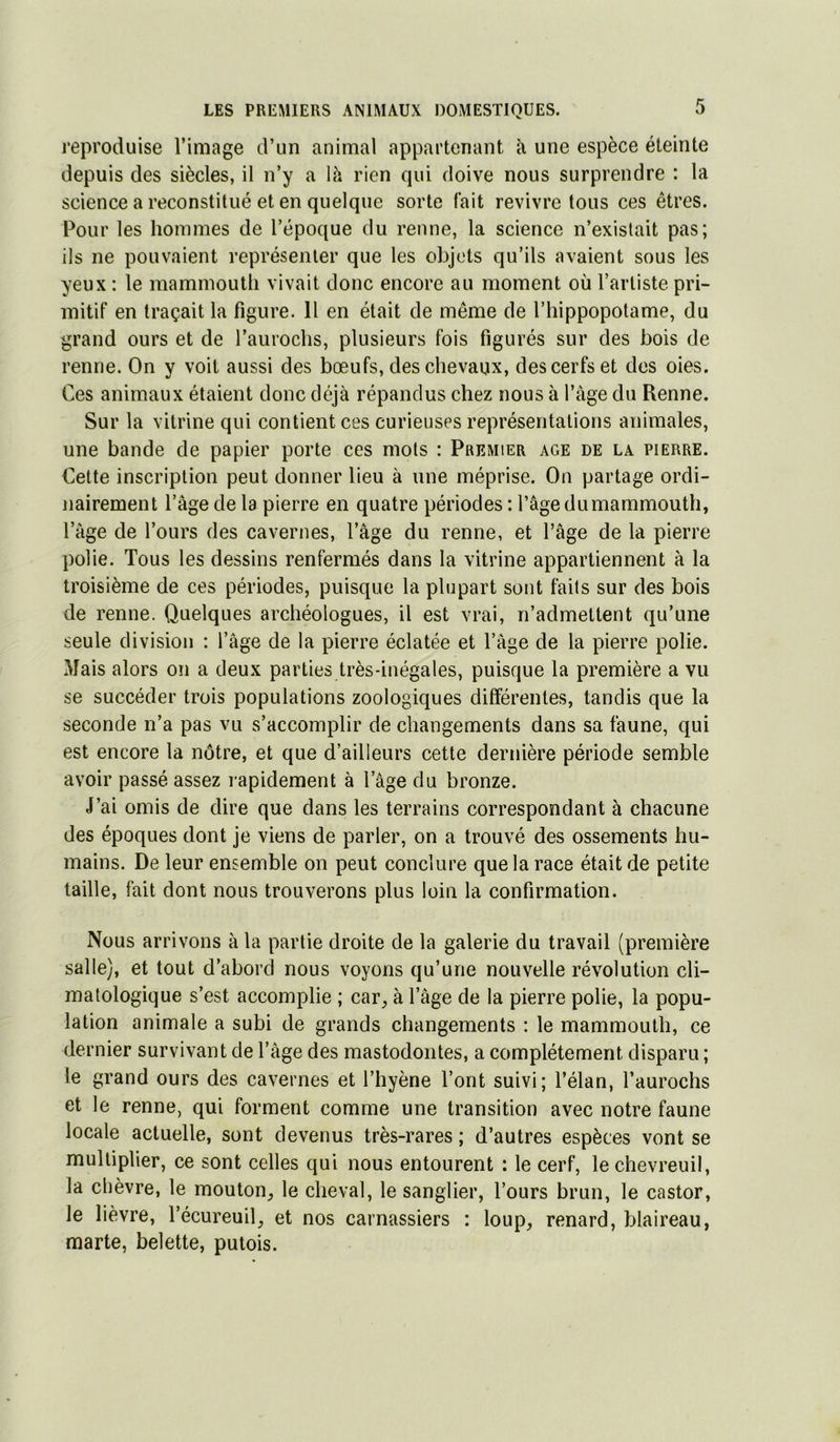reproduise l’image d’un animal appartenant une espèce éteinte depuis des siècles, il n’y a là rien qui doive nous surprendre : la science a reconstitué et en quelque sorte lait revivre tous ces êtres. Pour les hommes de l’époque du renne, la science n’existait pas; ils ne pouvaient représenter que les objets qu’ils avaient sous les yeux : le mammouth vivait donc encore au moment où l’artiste pri- mitif en traçait la figure. 11 en était de même de l’hippopotame, du grand ours et de l’aurochs, plusieurs fois figurés sur des bois de renne. On y voit aussi des bœufs, des chevaux, des cerfs et des oies. Ces animaux étaient donc déjà répandus chez nous à l’âge du Renne. Sur la vitrine qui contient ces curieuses représentations animales, une bande de papier porte ces mots : Premier âge de la pierre. Cette inscription peut donner lieu à une méprise. On partage ordi- nairement l’âge de la pierre en quatre périodes : l’âge du mammouth, l’âge de l’ours des cavernes, l’âge du renne, et l’âge de la pierre polie. Tous les dessins renfermés dans la vitrine appartiennent à la troisième de ces périodes, puisque la plupart sont faits sur des bois de renne. Quelques archéologues, il est vrai, n’admettent qu’une seule division : l’âge de la pierre éclatée et l’âge de la pierre polie. Mais alors on a deux parties très-inégales, puisque la première a vu se succéder trois populations zoologiques differentes, tandis que la seconde n’a pas vu s’accomplir de changements dans sa faune, qui est encore la nôtre, et que d’ailleurs cette dernière période semble avoir passé assez rapidement à l’âge du bronze. J’ai omis de dire que dans les terrains correspondant à chacune des époques dont je viens de parler, on a trouvé des ossements hu- mains. De leur ensemble on peut conclure que la race était de petite taille, fait dont nous trouverons plus loin la confirmation. Nous arrivons à la partie droite de la galerie du travail (première salle), et tout d’abord nous voyons qu’une nouvelle révolution cli- matologique s’est accomplie ; car^ à l’âge de la pierre polie, la popu- lation animale a subi de grands changements : le mammouth, ce dernier survivant de l’âge des mastodontes, a complètement disparu ; le grand ours des cavernes et l’hyène l’ont suivi; l’élan, l’aurochs et le renne, qui forment comme une transition avec notre faune locale actuelle, sont devenus très-rares ; d’autres espèces vont se multiplier, ce sont celles qui nous entourent : le cerf, le chevreuil, la chèvre, le mouton^ le cheval, le sanglier, Tours brun, le castor, le lièvre, l’écureuil, et nos carnassiers : loup, renard, blaireau, marte, belette, putois.