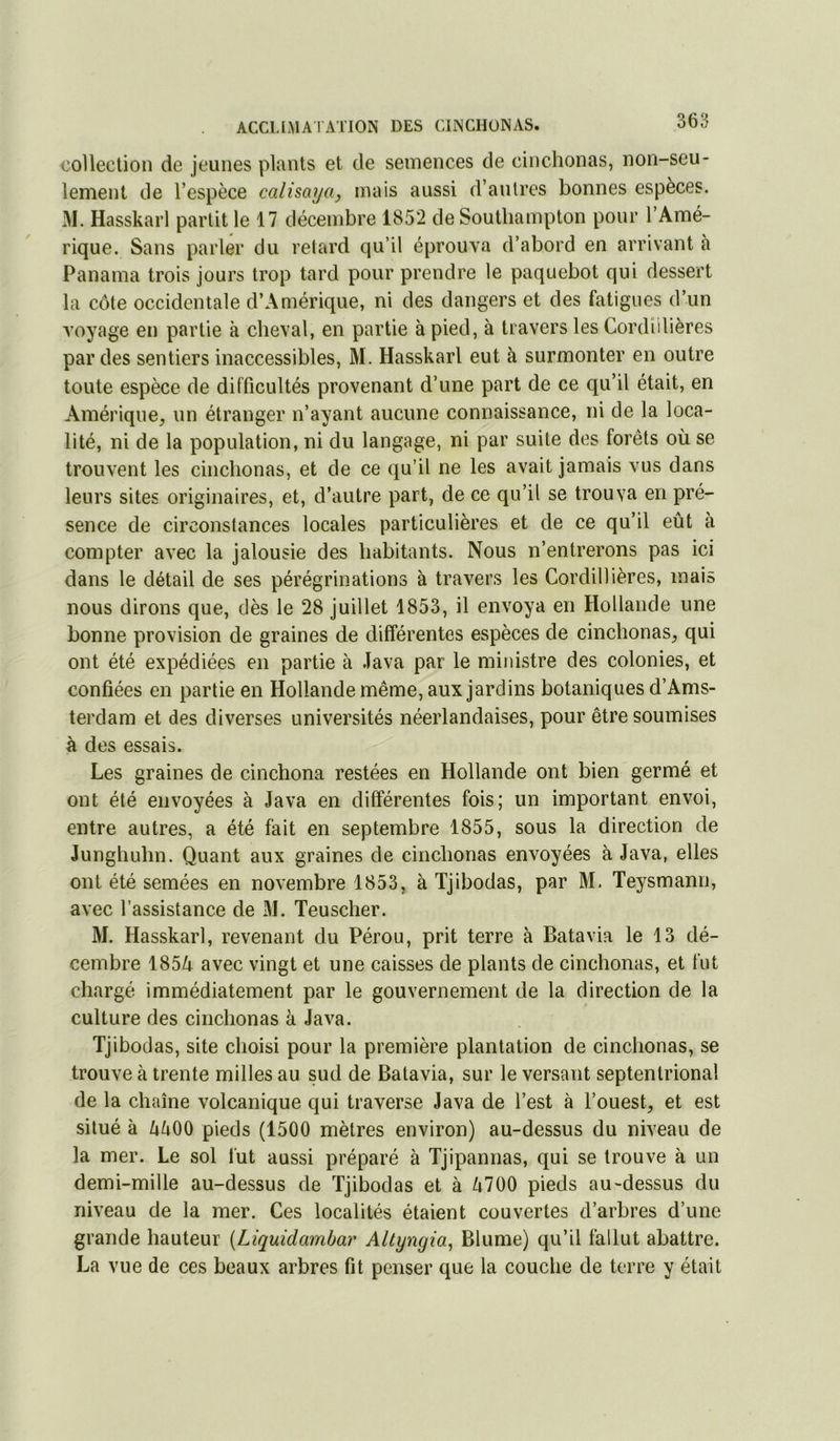 collection de jeunes plants et de semences de cinchonas, non-seu- lement de l’espèce calisaya, mais aussi d’autres bonnes espèces. M. Hasskarl partit le 17 décembre 185*2 de Soutliampton pour l’Amé- rique. Sans parler du retard qu’il éprouva d’abord en arrivant à Panama trois jours trop tard pour prendre le paquebot qui dessert la côte occidentale d’Amérique, ni des dangers et des fatigues d’un voyage en partie à cheval, en partie à pied, à travers les Cordîilières par des sentiers inaccessibles, M. Hasskarl eut à surmonter en outre toute espèce de difficultés provenant d’une part de ce qu’il était, en Amérique, un étranger n’ayant aucune connaissance, ni de la loca- lité, ni de la population, ni du langage, ni par suite des forêts où se trouvent les cinchonas, et de ce qu’il ne les avait jamais vus dans leurs sites originaires, et, d’autre part, de ce qu’il se trouva en pré- sence de circonstances locales particulières et de ce qu’il eût à compter avec la jalousie des habitants. Nous n’entrerons pas ici dans le détail de ses pérégrinations à travers les Cordillières, mais nous dirons que, dès le 28 juillet 1853, il envoya en Hollande une bonne provision de graines de différentes espèces de cinchonas, qui ont été expédiées en partie à Java par le ministre des colonies, et confiées en partie en Hollande même, aux jardins botaniques d’Ams- terdam et des diverses universités néerlandaises, pour être soumises à des essais. Les graines de cinchona restées en Hollande ont bien germé et ont été envoyées à Java en différentes fois; un important envoi, entre autres, a été fait en septembre 1855, sous la direction de Junghuhn. Quant aux graines de cinchonas envoyées à Java, elles ont été semées en novembre 1853, à Tjibodas, par M. Teysmann, avec l’assistance de M. Teuscher. M. Hasskarl, revenant du Pérou, prit terre à Batavia le 13 dé- cembre 185^ avec vingt et une caisses de plants de cinchonas, et fut chargé immédiatement par le gouvernement de la direction de la culture des cinchonas à Java. Tjibodas, site choisi pour la première plantation de cinclionas, se trouve à trente milles au sud de Batavia, sur le versant septentrional de la chaîne volcanique qui traverse Java de l’est à l’ouest, et est situé à ûûOO pieds (1500 mètres environ) au-dessus du niveau de la mer. Le sol fut aussi préparé à Tjipannas, qui se trouve à un demi-mille au-dessus de Tjibodas et à û700 pieds au-dessus du niveau de la mer. Ces localités étaient couvertes d’arbres d’une grande hauteur {Liquidambar Altyngia^ Blume) qu’il fallut abattre. La vue de ces beaux arbres fit penser que la couche de terre y était