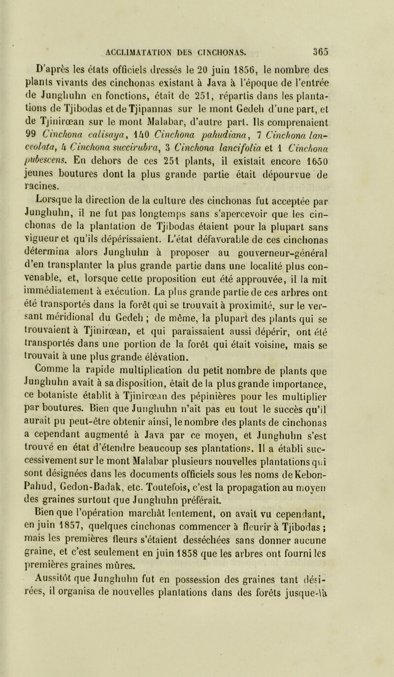 D’après les états officiels dressés le 20 juin 1856, le nombre des plants vivants des cinchonas existant à Java à l’époque de l’entrée de Jungliuhn en fonctions, était de 251, répartis dans les planta- tions de Tjibodas et de Tjipannas sur le mont Gedeli d’une part, et de Tjinirœan sur le mont Malabar, d’autre part. Ils comprenaient 99 Cinchona calisaija, \U0 Cinchona pahudiana^ 7 Cinchona lan~ ceolata, U Cinchona succirubra^ 3 Cinchona lancifolia et 1 Cinchona pubescens. En dehors de ces 251 plants, il existait encore 1650 jeunes boutures dont la plus grande partie était dépourvue de racines. Lorsque la direction de la culture des cinchonas fut acceptée par Jungliuhn, il ne fut pas longtemps sans s’apercevoir que les cin- chonas de la plantation de Tjibodas étaient pour la plupart sans vigueur et qu’ils dépérissaient. L’état défavorable de ces cinchonas détermina alors Jungliuhn à proposer au gouverneur-général d’en transplanter la plus grande partie dans une localité plus con- venable, et, lorsque cette proposition eut été approuvée, il la mit immédiatement à exécution. La plus grande partie de ces arbres ont été transportés dans la forêt qui se trouvait à proximité, sur le ver- sant méridional du Gedeli ; de même, la plupart des plants qui se trouvaient à Tjinirœan, et qui paraissaient aussi dépérir, ont été transportés dans une portion de la forêt qui était voisine, mais se trouvait à une plus grande élévation. Comme la rapide multiplication du petit nombre de plants que Jungliuhn avait à sa disposition, était de la plus grande importance, ce botaniste établit à Tjinirœan des pépinières pour les multiplier par boutures. Bien que Jungliuhn n’ait pas eu tout le succès qu’il aurait pu peut-être obtenir ainsi, le nombre des plants de cinchonas a cependant augmenté à Java par ce moyen, et Junghuhn s’est trouvé en état d’étendre beaucoup ses plantations. Il a établi suc- cessivement sur le mont Malabar plusieurs nouvelles plantations qui sont désignées dans les documents officiels sous les noms deKebon- Pahud, Gedon-Badak, etc. Toutefois, c’est la propagation au moyen des graines surtout que Junghuhn préférait. Bien que l’opération marchât lentement, on avait vu cependant, en juin 1857, quelques cinchonas commencer h fleurir à Tjibodas ; mais les premières fleurs s’étaient desséchées sans donner aucune graine, et c’est seulement en juin 1858 que les arbres ont fourni les premières graines mûres. Aussitôt que Junghuhn fut en possession des graines tant dési- rées, il organisa de nouvelles planlations dans des forêts jusquedU