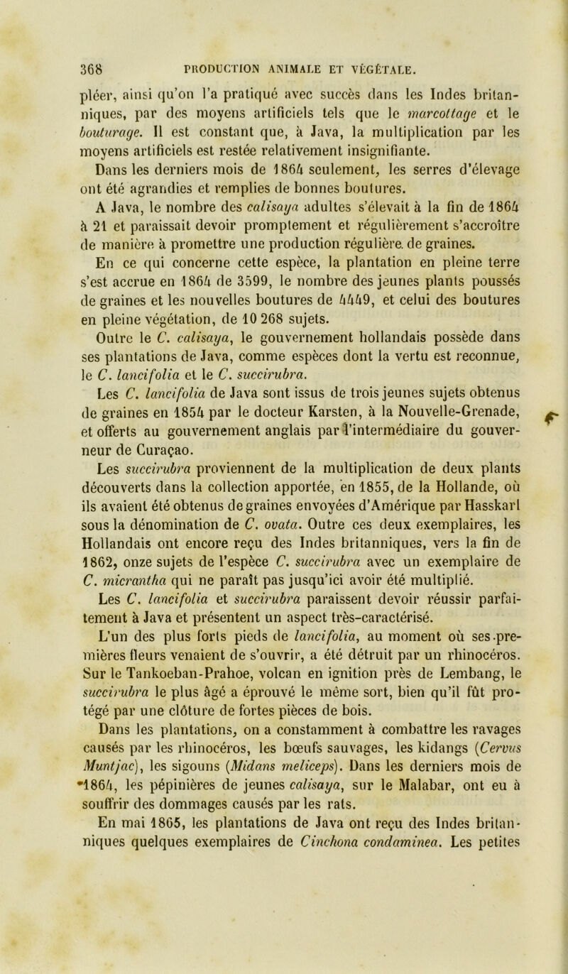 pléer, ainsi qu’on l’a pratiqué avec succès dans les Indes britan- niques, par des moyens artificiels tels que le marcottage et le bouturage. Il est constant que, à Java, la multiplication par les moyens artificiels est restée relativement insignifiante. Dans les derniers mois de 186^ seulement, les serres d’élevage ont été agrandies et remplies de bonnes boutures. A Java, le nombre des calisaya adultes s’élevait à la fin de 186/i à 21 et paraissait devoir promptement et régulièrement s’accroître de manière à promettre une production régulière, de graines. En ce qui concerne cette espèce, la plantation en pleine terre s’est accrue en 186/i de 3599, le nombre des jeunes plants poussés de graines et les nouvelles boutures de et celui des boutures en pleine végétation, de 10 268 sujets. Outre le C. calisaya^ le gouvernement hollandais possède dans ses plantations de Java, comme espèces dont la vertu est reconnue, le C. lancifolia et le C. succirubra. Les C. lancifolia de Java sont issus de trois jeunes sujets obtenus de graines en 1854 par le docteur Karsten, à la Nouvelle-Grenade, et offerts au gouvernement anglais par •l’intermédiaire du gouver- neur de Curaçao. Les succirubra proviennent de la multiplication de deux plants découverts dans la collection apportée, en 1855, de la Hollande, où ils avaient été obtenus de graines envoyées d’Amérique par Hasskarl sous la dénomination de C. ovata. Outre ces deux exemplaires, les Hollandais ont encore reçu des Indes britanniques, vers la fin de 1862, onze sujets de l’espèce C. succirubra avec un exemplaire de C. micrantha qui ne paraît pas jusqu’ici avoir été multiplié. Les C. lancifolia et succirubra paraissent devoir réussir parfai- tement à Java et présentent un aspect très-caraclérisé. L’un des plus forts pieds de lancifolia, au moment où ses .pre- mières fleurs venaient de s’ouvrir, a été détruit par un rhinocéros. Sur le Tankoeban-Prahoe, volcan en ignition près de Lembang, le succirubra le plus âgé a éprouvé le même sort, bien qu’il fût pro- tégé par une clôture de fortes pièces de bois. Dans les plantations, on a constamment à combattre les ravages causés par les rhinocéros, les bœufs sauvages, les kidangs (Cervus Muntjac), les sigouns {Midans meliceps). Dans les derniers mois de •1864, les pépinières de jeunes calisaya, sur le Malabar, ont eu à souffrir des dommages causés par les rats. En mai 1865, les plantations de Java ont reçu des Indes britan* niques quelques exemplaires de Cinchona condaminea. Les petites