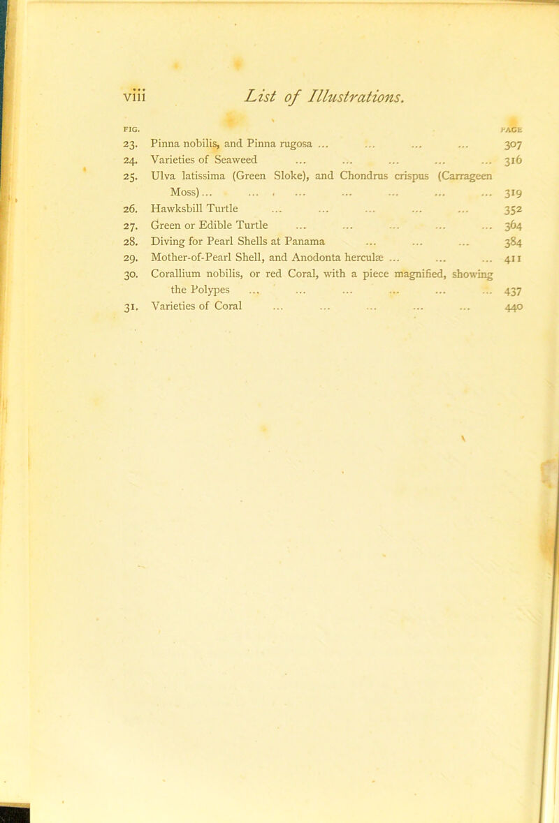 \ FIG. FACE 23. Pinna nobilis, and Pinna rugosa ... ... ... ... 307 24. Varieties of Seaweed ... ... ... ... ... 316 25. Ulva latissima (Green Sloke), and Chondrus crispus (Carrageen Moss)... ... ... ... ... 319 26. Hawksbill Turtle ... ... ... ... ... 352 27. Green or Edible Turtle ... ... ... ... ... 364 28. Diving for Pearl Shells at Panama ... ... ... 384 29. Mother-of-Pearl Shell, and Anodonta herculse ... ... ... 411 30. Corallium nobilis, or red Coral, with a piece magnified, showing the Polypes ... ... ... ... ... ... 437 31. Varieties of Coral ... ... ... ... ... 440 V