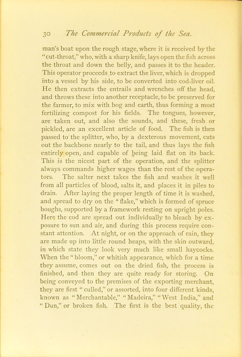 man’s boat upon the rough stage, where it is received by the “cut-throat,” who, with a sharp knife, lays open the fish across the throat and down the belly, and passes it to the header. This operator proceeds to extract the liver, which is dropped into a vessel by his side, to be converted into cod-liver oil. He then extracts the entrails and wrenches off the head, and throws these into another receptacle, to be preserved for the farmer, to mix with bog and earth, thus forming a most fertilizing compost for his fields. The tongues, however, are taken out, and also the sounds, and these, fresh or pickled, are an excellent article of food. The fish is then passed to the splitter, who, by a dexterous movement, cuts out the backbone nearly to the tail, and thus lays the fish entirely open, and capable of being laid flat on its back. This is the nicest part of the operation, and the splitter always commands higher wages than the rest of the opera- tors. The salter next takes the fish and washes it well from all particles of blood, salts it, and places it in piles to drain. After laying the proper length of time it is washed, and spread to dry on the “ flake,” which is formed of spruce boughs, supported by a framework resting on upright poles. Here the cod are spread out individually to bleach by ex- posure to sun and air, and during this process require con- stant attention. At night, or on the approach of rain, they are made up into little round heaps, with the skin outward, in which state they look very much like small haycocks. When the “ bloom,” or whitish appearance, which for a time they assume, comes out on the dried fish, the process is finished, and then they are quite ready for storing. On being conveyed to the premises of the exporting merchant, they are first “ culled,” or assorted, into four different kinds, known as “Merchantable,” “Madeira,” “West India,” and “ Dun,” or broken fish. The first is the best quality, the