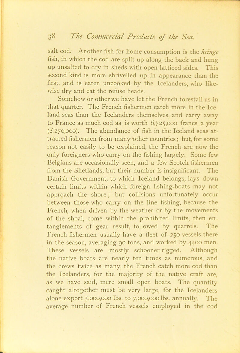 salt cod. Another fish for home consumption is the hcinge fish, in which the cod are split up along the back and hung up unsalted to dry in sheds with open latticed sides. This second kind is more shrivelled up in appearance than the first, and is eaten uncooked by the Icelanders, who like- wise dry and eat the refuse heads. Somehow or other we have let the French forestall us in that quarter. The French fishermen catch more in the Ice- land seas than the Icelanders themselves, and carry away to France as much cod as is worth 6,725,000 francs a year (^^^270,000). The abundance of fish in the Iceland seas at- tracted fishermen from many ’other countries; but, for some reason not easily to be explained, the French are now the only foreigners who carry on the fishing largely. Some few Belgians are occasionally seen, and a few Scotch fishermen from the Shetlands, but their number is insignificant. The Danish Government, to which Iceland belongs, lays down certain limits within which foreign fishing-boats may not approach the shore; but collisions unfortunately occur between those who carry on the line fishing, because the French, when driven by the weather or by the movements of the shoal, come within the prohibited limits, then en- tanglements of gear result, followed by quarrels. The French fishermen usually have a fleet of 250 vessels there in the season, averaging 90 tons, and worked by 4400 men. These vessels are mostly schooner-rigged. Although the native boats are nearly ten times as numerous, and the crews twice as many, the French catch more cod than the Icelanders, for the majority of the native craft are, as we have said, mere small open boats. The quantity caught altogether must be very large, for the Icelanders alone export 5,000,000 lbs. to 7,000,000 lbs. annually. The average number of French vessels employed in the cod