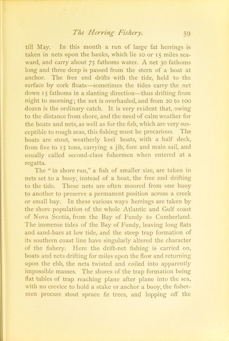 till May. In this month a run of large fat herrings is taken in nets upon the banks, which lie lo or 15 miles sea- ward, and carry about 75 fathoms water. A net 30 fathoms long and three deep is passed from the stern of a boat at anchor. The free end drifts with the tide, held to the surface by cork floats—sometimes the tides carry the net down 15 fathoms in a slanting direction—thus drifting from night to morning; the net is overhauled, and from 20 to lOO dozen is the ordinary catch. It is very evident that, owing to the distance from shore, and the need of calm weather for the boats and nets, as well as for the fish, which are very sus- ceptible to rough seas, this fishing must be precarious. The boats are stout, weatherly keel boats, with a half deck, from five to 15 tons, carrying a jib, fore and main sail, and usually called second-class fishermen when entered at a regatta. The “ in shore run,” a fish of smaller size, are taken in nets set to a buoy, instead of a boat, the free end drifting to the tide. These nets are often moored from one buoy to another to preserve a permanent position across a creek or small bay. In these various ways herrings are taken by the shore population of the whole Atlantic and Gulf coast of Nova Scotia, from the Bay of Fundy to Cumberland. The immense tides of the Bay of Fundy, leaving long flats and sand-bars at low tide, and the steep trap formation of its southern coast line have singularly altered the character of the fishery. Here the drift-net fishing is carried on, boats and nets drifting for miles upon the flow and returning upon the ebb, the nets twisted and coiled into apparently impossible masses. The shores of the trap formation being flat tables of trap reaching plane after plane into the sea, with no crevice to hold a stake or anchor a buoy, the fisher- men procure stout spruce fir trees, and lopping off the