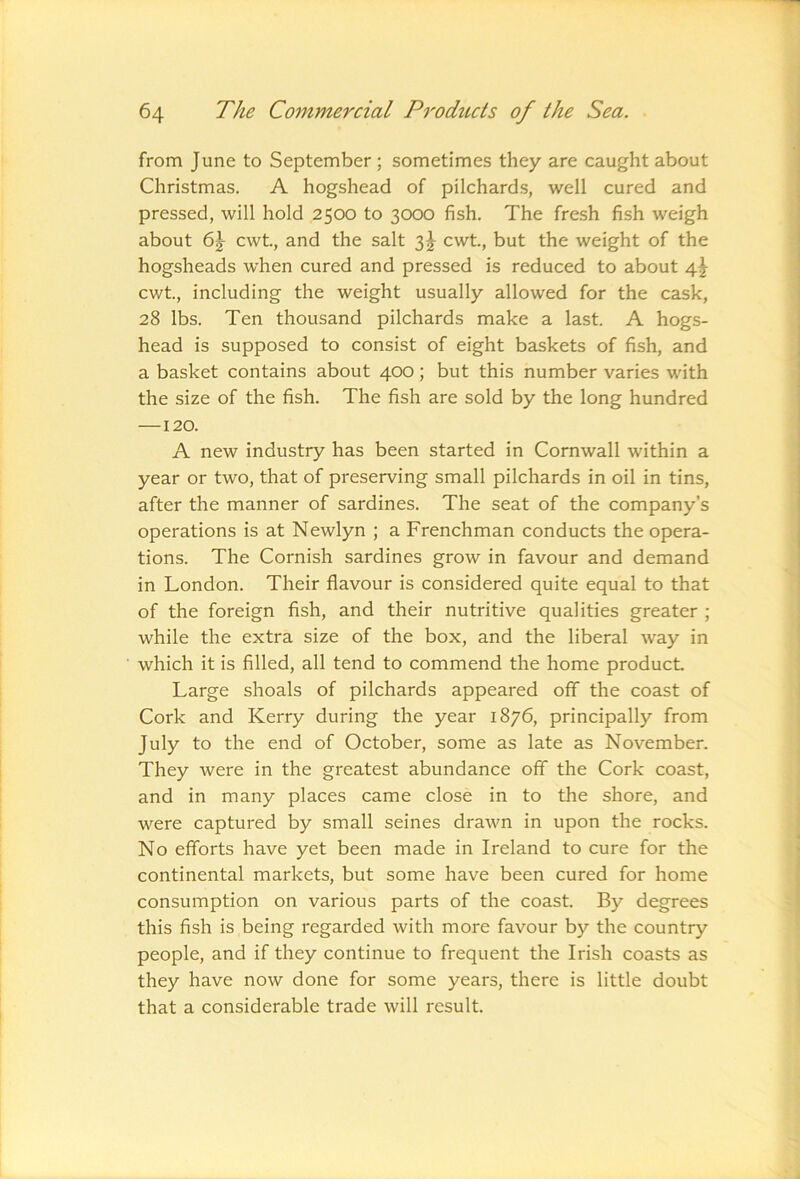 from June to September ; sometimes they are caught about Christmas. A hogshead of pilchards, well cured and pressed, will hold 2500 to 3000 fish. The fresh fish weigh about cwt, and the salt cwt, but the weight of the hogsheads when cured and pressed is reduced to about 4^ cwt., including the weight usually allowed for the cask, 28 lbs. Ten thousand pilchards make a last. A hogs- head is supposed to consist of eight baskets of fish, and a basket contains about 400; but this number varies with the size of the fish. The fish are sold by the long hundred —120. A new industry has been started in Cornwall within a year or two, that of preserving small pilchards in oil in tins, after the manner of sardines. The seat of the company’s operations is at Newlyn ; a Frenchman conducts the opera- tions. The Cornish sardines grow in favour and demand in London. Their flavour is considered quite equal to that of the foreign fish, and their nutritive qualities greater ; while the extra size of the box, and the liberal way in which it is filled, all tend to commend the home product Large shoals of pilchards appeared off the coast of Cork and Kerry during the year 1876, principally from July to the end of October, some as late as November. They were in the greatest abundance off the Cork coast, and in many places came close in to the shore, and were captured by small seines drawn in upon the rocks. No efforts have yet been made in Ireland to cure for the continental markets, but some have been cured for home consumption on various parts of the coast. By degrees this fish is being regarded with more favour by the country people, and if they continue to frequent the Irish coasts as they have now done for some years, there is little doubt that a considerable trade will result.