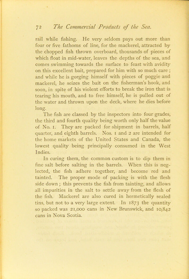 rail while fishing. He very seldom pays out more than four or five fathoms of line, for the mackerel, attracted by the chopped fish thrown overboard, thousands of pieces of which float in mid-water, leaves the depths of the sea, and comes swimming towards the surface to feast with avidity on this excellent bait, prepared for him with so much care ; and while he is gorging himself with pieces of poggie and mackerel, he seizes the bait on the fisherman’s hook, and soon, in spite of his violent efforts to break the iron that is tearing his mouth, and to free himself, he is pulled out of the water and thrown upon the deck, where he dies before long. The fish are classed by the inspectors into four grades, the third and fourth quality being worth only half the value of No. I. They are packed for shipment in barrels, half quarter, and eighth barrels. Nos. i and 2 are intended for the home markets of the United States and Canada, the lowest quality being principally consumed in the West Indies. In curing them, the common custom is to dip them in fine salt before salting in the barrels. When this is neg- lected, the fish adhere together, and become red and tainted. The proper mode of packing is Avith the flesh side down ; this prevents the fish from tainting, and allows all impurities in the salt to settle away from the flesh of the fish. Mackerel are also cured in hermetically sealed tins, but not to a very large extent. In 1873 the quantity so packed was 21,000 cans in New Brunswick, and 10,842 cans in Nova Scotia.