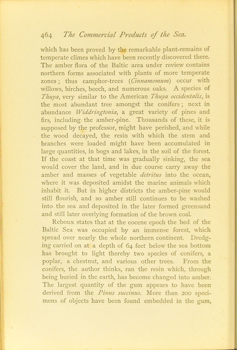 which has been proved by the remarkable plant-remains of temperate climes which have been recently discovered there. The amber flora of the Baltic area under review contains northern forms associated with plants of more temperate zones ; thus camphor-trees {Cijinamomunt) occur with willows, birches, beech, and numerous oaks. A species of Thuya, very similar to the American Thuya occidentalis, is the most abundant tree amongst the conifers ; next in abundance Widdringtonia, a great variety of pines and firs, including, the amber-pine. Thousands of these, it is supposed by the professor, might have perished, and while the wood decayed, the resin with which the stem and branches were loaded might have been accumulated in large quantities, in bogs and lakes, in the soil of the forest. If the coast at that time was gradually sinking, the sea would cover the land, and in due course carry away the amber and masses of vegetable detritus into the ocean, where it was deposited amidst the marine animals which inhabit it. But in higher districts the amber-pine would still flourish, and so amber still continues to be washed into the sea and deposited in the later formed greensand and still later overlying formation of the brown coal. Reboux states that at the eocene epoch the bed of the Baltic Sea was occupied by an immense forest, which spread over nearly the whole northern continent. Dredg- ing carried on at a depth of 64 feet below the sea bottom has brought to light thereby two species of conifers, a poplar, a chestnut, and various other trees. From the conifers, the author thinks, ran the resin which, through being buried in the earth, has become changed into amber. The largest quantity of the gum appears to have been derived from the Pinus succinus. More than 200 speci- mens of objects have been found embedded in the gum.