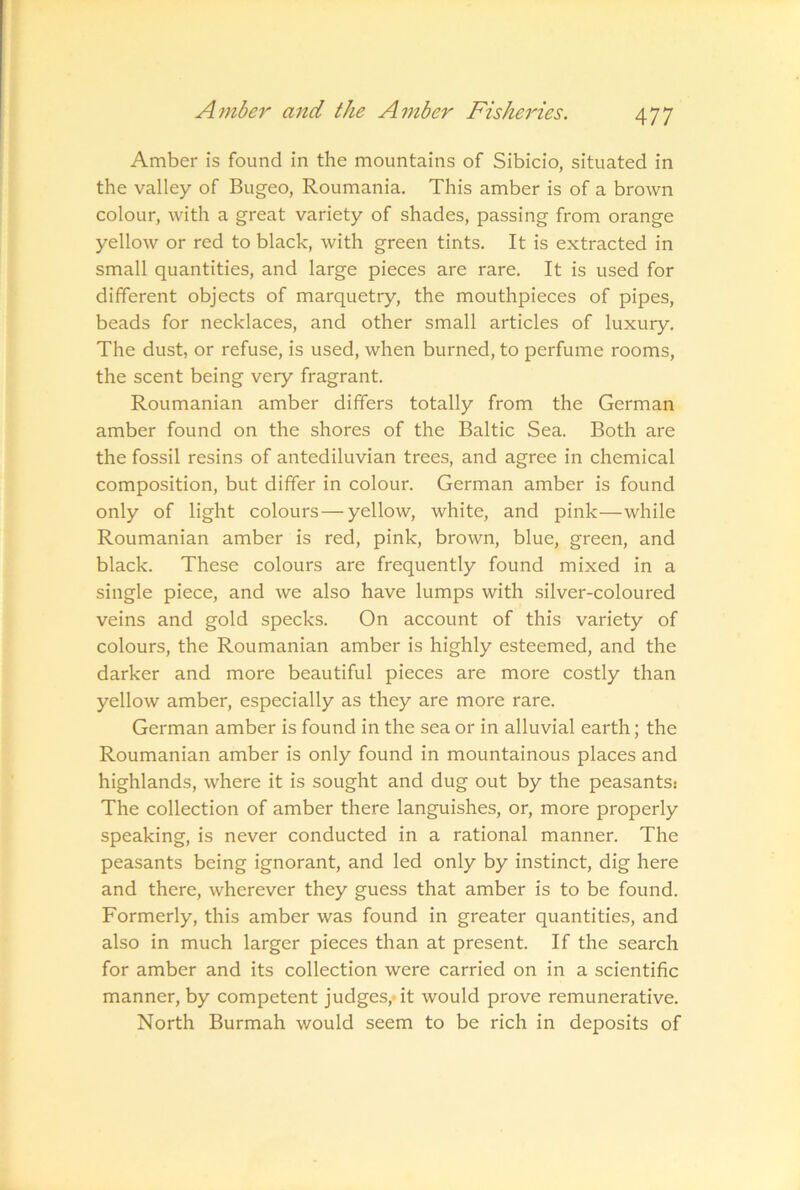 Amber is found in the mountains of Sibicio, situated in the valley of Bugeo, Roumania. This amber is of a brown colour, with a great variety of shades, passing from orange yellow or red to black, with green tints. It is extracted in small quantities, and large pieces are rare. It is used for different objects of marquetry, the mouthpieces of pipes, beads for necklaces, and other small articles of luxury. The dust, or refuse, is used, when burned, to perfume rooms, the scent being very fragrant. Roumanian amber differs totally from the German amber found on the shores of the Baltic Sea. Both are the fossil resins of antediluvian trees, and agree in chemical composition, but differ in colour. German amber is found only of light colours—yellow, white, and pink—while Roumanian amber is red, pink, brown, blue, green, and black. These colours are frequently found mixed in a single piece, and we also have lumps with silver-coloured veins and gold specks. On account of this variety of colours, the Roumanian amber is highly esteemed, and the darker and more beautiful pieces are more costly than yellow amber, especially as they are more rare. German amber is found in the sea or in alluvial earth; the Roumanian amber is only found in mountainous places and highlands, where it is sought and dug out by the peasants! The collection of amber there languishes, or, more properly speaking, is never conducted in a rational manner. The peasants being ignorant, and led only by instinct, dig here and there, wherever they guess that amber is to be found. Formerly, this amber was found in greater quantities, and also in much larger pieces than at present. If the search for amber and its collection were carried on in a scientific manner, by competent judges,- it would prove remunerative. North Burmah would seem to be rich in deposits of