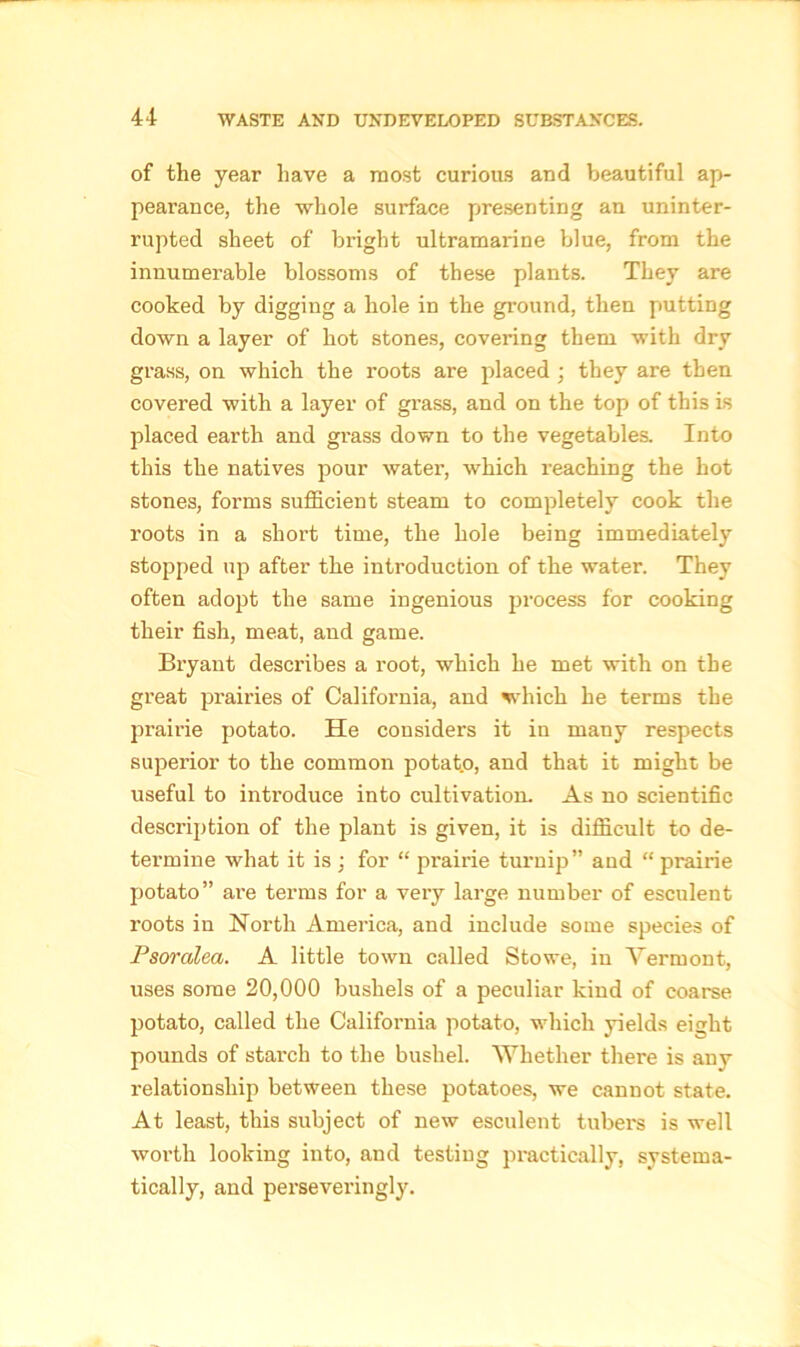 of the year have a most curious and beautiful ap- pearance, the whole surface presenting an uninter- rupted sheet of bright ultramarine blue, from the innumerable blossoms of these plants. They are cooked by digging a hole in the ground, then putting down a layer of hot stones, covering them with dry grass, on which the roots are placed ; they are then covered with a layer of grass, and on the top of this is placed earth and grass down to the vegetables. Into this the natives pour water, which reaching the hot stones, forms sufficient steam to completely cook the roots in a short time, the hole being immediately stopped up after the introduction of the water. They often adopt the same ingenious process for cooking their fish, meat, and game. Bryant describes a root, which he met with on the great prairies of California, and which he terms the prairie potato. He considers it in many respects superior to the common potat.o, and that it might be useful to introduce into cultivation. As no scientific description of the plant is given, it is difficult to de- termine what it is ; for “ prairie turnip” and “ prairie potato” are terms for a very large number of esculent roots in North America, and include some species of Psoralea. A little town called Stowe, in Vermont, uses some 20,000 bushels of a peculiar kind of coarse potato, called the California potato, which yields eight pounds of stai-ch to the bushel. Whether there is any relationship between these potatoes, we cannot state. At least, this subject of new esculent tubers is well worth looking into, and testing practically, systema- tically, and perseveringly.