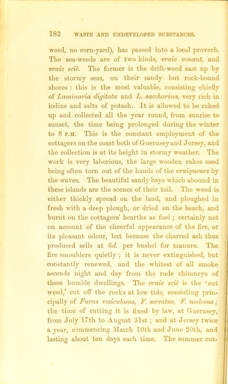 weed, no corn-yard), has passed into a local proverb. The sea-weeds are of two kinds, vraic verumt, and vraic scie. The former is the drift-weed cast up by the stormy seas, on their sandy but rock-bound shores : this is the most valuable, consisting chiefly of Laminaria digitata and L. saccharina, very rich in iodine and salts of potash. It is allowed to be raked up and collected all the year round, from sunrise to sunset, the time being prolonged during the winter to 8 p.m. This is the constant employment of the cottagers on the coast both of Guernsey and Jersey, and the collection is at its height in stormy weather. The work is very laborious, the large wooden rakes used being often torn out of the hands of the vraiqueurs by the waves. The beautiful sandy bays which abound in these islands are the scenes of their toil. The weed is either thickly spread on the land, and ploughed in fresh with a deep plough, or dried on the beach, and burnt on the cottagers’ hearths as fuel; certainly not on account of the cheerful appearance of the fire, or its pleasant odour, but because the charred ash thus produced sells at 6d. per bushel for manure. The fire smoulders quietly ; it is never extinguished, but constantly renewed, and the whitest of all smoke ascends night and day from the rude chimneys of these humble dwellings. The vraic scie is the ‘cut weed,’ cut off the rocks at low tide, consisting prin- cipally of Fucus vcsicidosus, F. serratus, F. nodosus; the time of cutting it is fixed by law, at Guernsey, from July 17th to August 31st; and at Jersey twice a year, commencing March 10th and June 20th, and lasting about ten days each time. The summer cut-