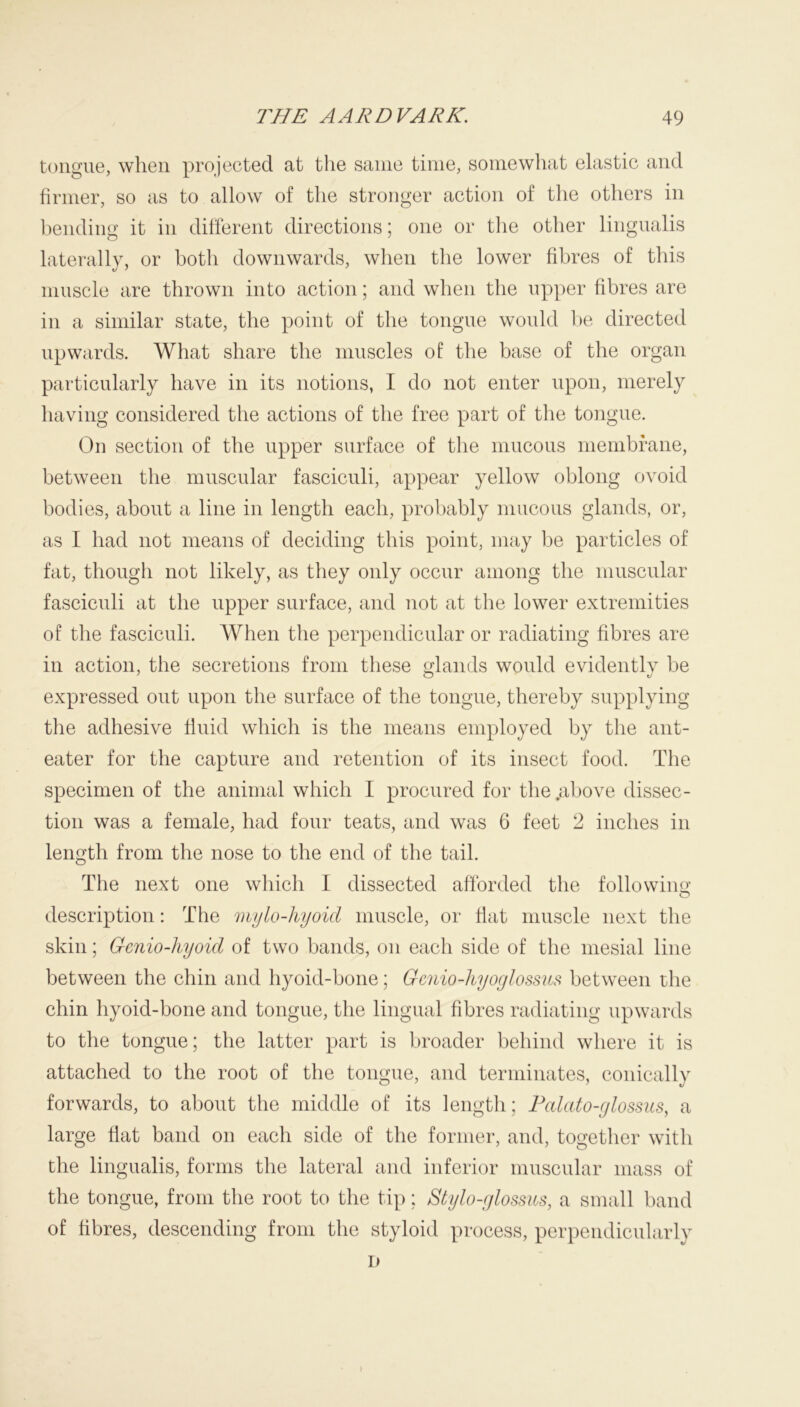 tongue, when projected at the same time, somewhat elastic and firmer, so as to allow of the stronger action of the others in bending it in different directions; one or the other lingualis laterally, or both downwards, when the lower fibres of this muscle are thrown into action; and when the upper fibres are in a similar state, the point of the tongue would be directed upwards. What share the muscles of the base of the organ particularly have in its notions, I do not enter upon, merely having considered the actions of the free part of the tongue. On section of the upper surface of the mucous membrane, between the muscular fasciculi, appear yellow oblong ovoid bodies, about a line in length each, probably mucous glands, or, as I had not means of deciding this point, may be particles of fat, though not likely, as they only occur among the muscular fasciculi at the upper surface, and not at the lower extremities of the fasciculi. When the perpendicular or radiating fibres are in action, the secretions from these glands would evidently be expressed out upon the surface of the tongue, thereby supplying the adhesive fluid which is the means employed by the ant- eater for the capture and retention of its insect food. The specimen of the animal which I procured for the .above dissec- tion was a female, had four teats, and was 6 feet 2 inches in length from the nose to the end of the tail. The next one which I dissected afforded the following description: The mylo-hyoid muscle, or fiat muscle next the skin; Genio-hyoid of two bands, on each side of the mesial line between the chin and hyoid-bone; Genio-hyoglossus between the chin hyoid-bone and tongue, the lingual fibres radiating upwards to the tongue; the latter part is broader behind where it is attached to the root of the tongue, and terminates, conically forwards, to about the middle of its length; Palato-glossus, a large fiat band on each side of the former, and, together with the lingualis, forms the lateral and inferior muscular mass of the tongue, from the root to the tip; Stylo-glossus, a small band of fibres, descending from the styloid process, perpendicularly D