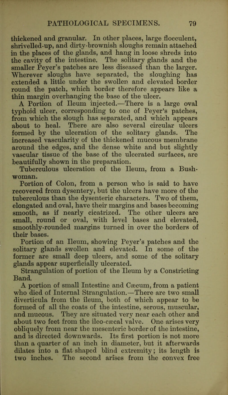 thickened and granular. In other places, large flocculent, shrivelled-up, and dirty-brownish sloughs remain attached in the places of the glands, and hang in loose shreds into the cavity of the intestine. The solitary glands and the smaller Peyer’s patches are less diseased than the larger. Wherever sloughs have separated, the sloughing has extended a little under the swollen and elevated border round the patch, which border therefore appears like a thin margin overhanging the base of the ulcer. A Portion of Ileum injected.—There is a large oval typhoid ulcer, corresponding to one of Peyer’s patches, from which the slough has separated, and which appears about to heal. There are also several circular ulcers formed by the ulceration of the solitary glands. The increased vascularity of the thickened mucous membrane around the edges, and the dense white and but slightly vascular tissue of the base of the ulcerated surfaces, are beautifully shown in the preparation. Tuberculous ulceration of the Ileum, from a Bush- woman. Portion of Colon, from a person who is said to have recovered from dysentery, but the ulcers have more of the tuberculous than the dysenteric characters. Two of them, elongated and oval, have their margins and bases becoming smooth, as if nearly cicatrized. The other ulcers are small, round or oval, with level bases and elevated, smoothly-rounded margins turned in over the borders of their bases. Portion of an Ileum, showing Peyer’s patches and the solitary glands swollen and elevated. In some of the former are small deep ulcers, and some of the solitary glands appear superficially ulcerated. Strangulation of portion of the Ileum by a Constricting Band. A portion of small Intestine and Caecum, from a patient who died of Internal Strangulation.—There are two small diverticula from the ileum, both of which appear to be formed of all the coats of the intestine, serous, muscular, and mucous. They are situated very near each other and about two feet from the ileo-caecal valve. One arises very obliquely from near the mesenteric border of the intestine, and is directed downwards. Its first portion is not more than a quarter of an inch in diameter, but it afterwards dilates into a flat shaped blind extremity; its length is two inches. The second arises from the convex free