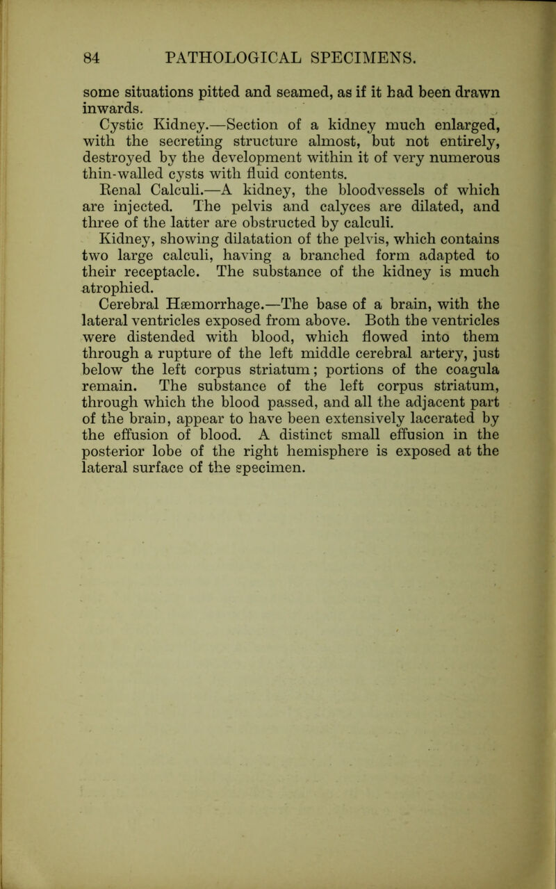 some situations pitted and seamed, as if it had been drawn inwards. Cystic Kidney.—Section of a kidney much enlarged, with the secreting structure almost, but not entirely, destroyed by the development within it of very numerous thin-walled cysts with fluid contents. Renal Calculi.—A kidney, the bloodvessels of which are injected. The pelvis and calyces are dilated, and three of the latter are obstructed by calculi. Kidney, showing dilatation of the pelvis, which contains two large calculi, having a branched form adapted to their receptacle. The substance of the kidney is much atrophied. Cerebral Haemorrhage.—The base of a brain, with the lateral ventricles exposed from above. Both the ventricles were distended with blood, which flowed into them through a rupture of the left middle cerebral artery, just below the left corpus striatum; portions of the coagula remain. The substance of the left corpus striatum, through which the blood passed, and all the adjacent part of the brain, appear to have been extensively lacerated by the effusion of blood. A distinct small effusion in the posterior lobe of the right hemisphere is exposed at the lateral surface of the specimen.